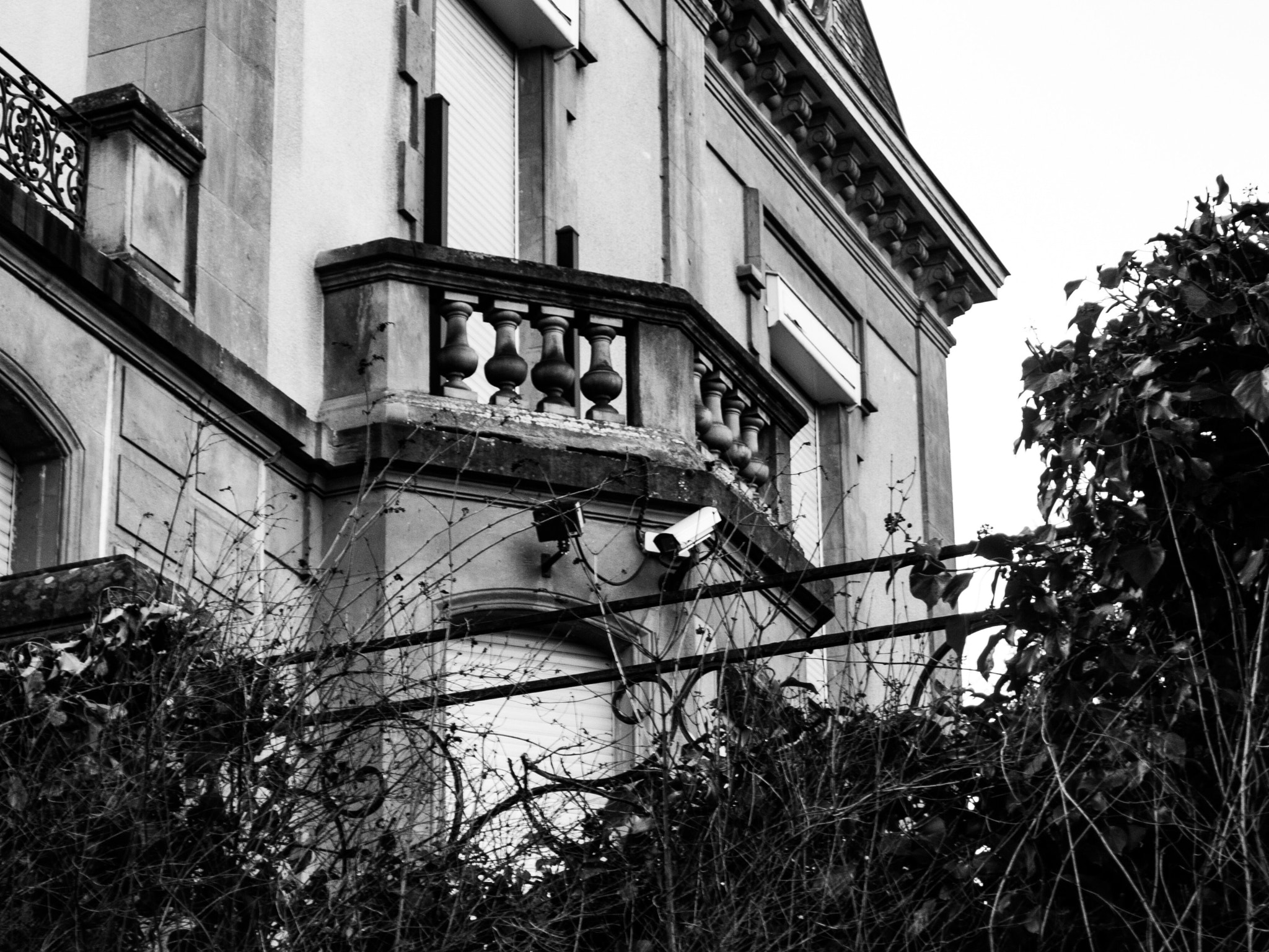 Leica D-LUX 5 sample photo. "society" photography