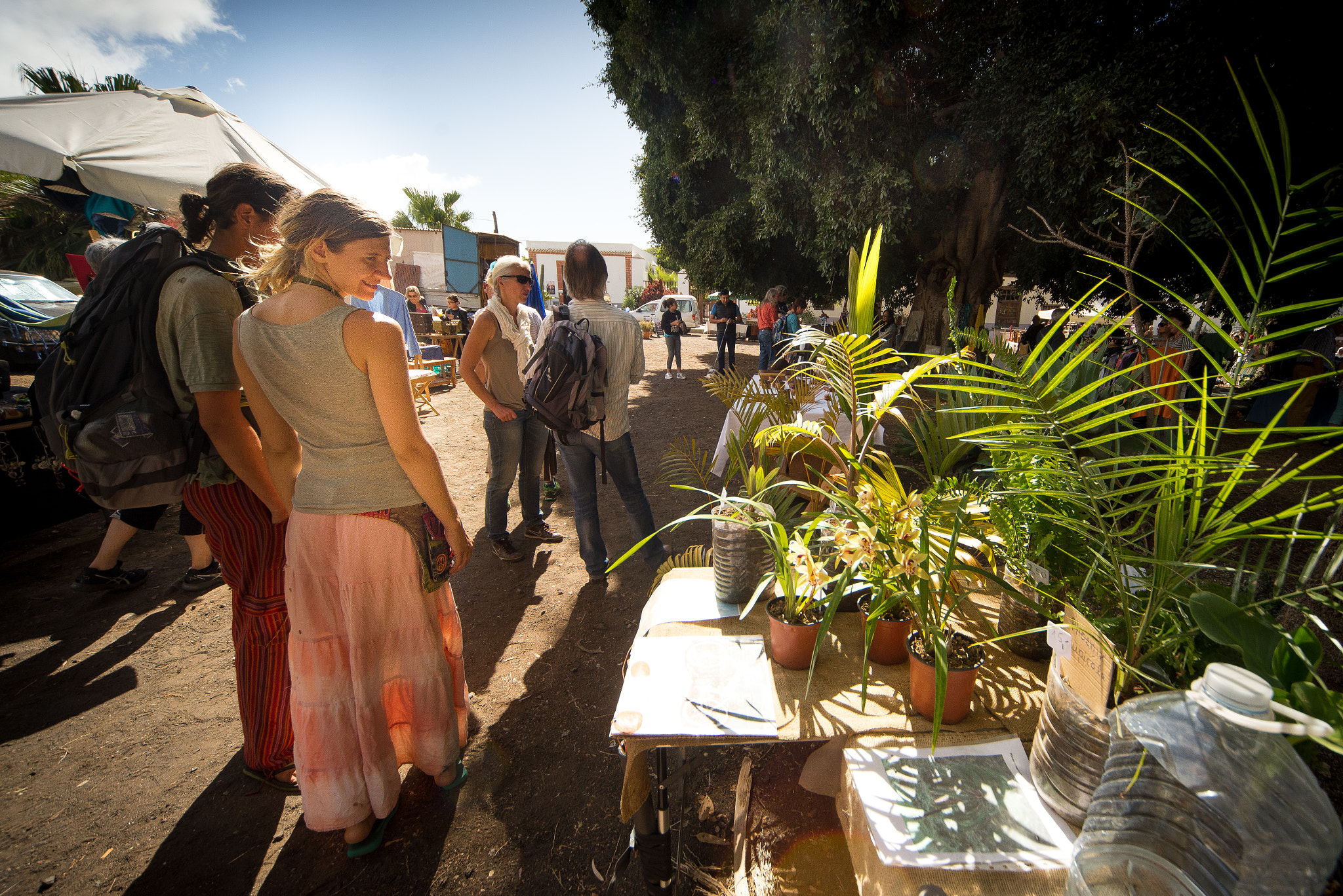 Nikon D600 + Sigma 12-24mm F4.5-5.6 EX DG Aspherical HSM sample photo. Palms on sale in la palma photography