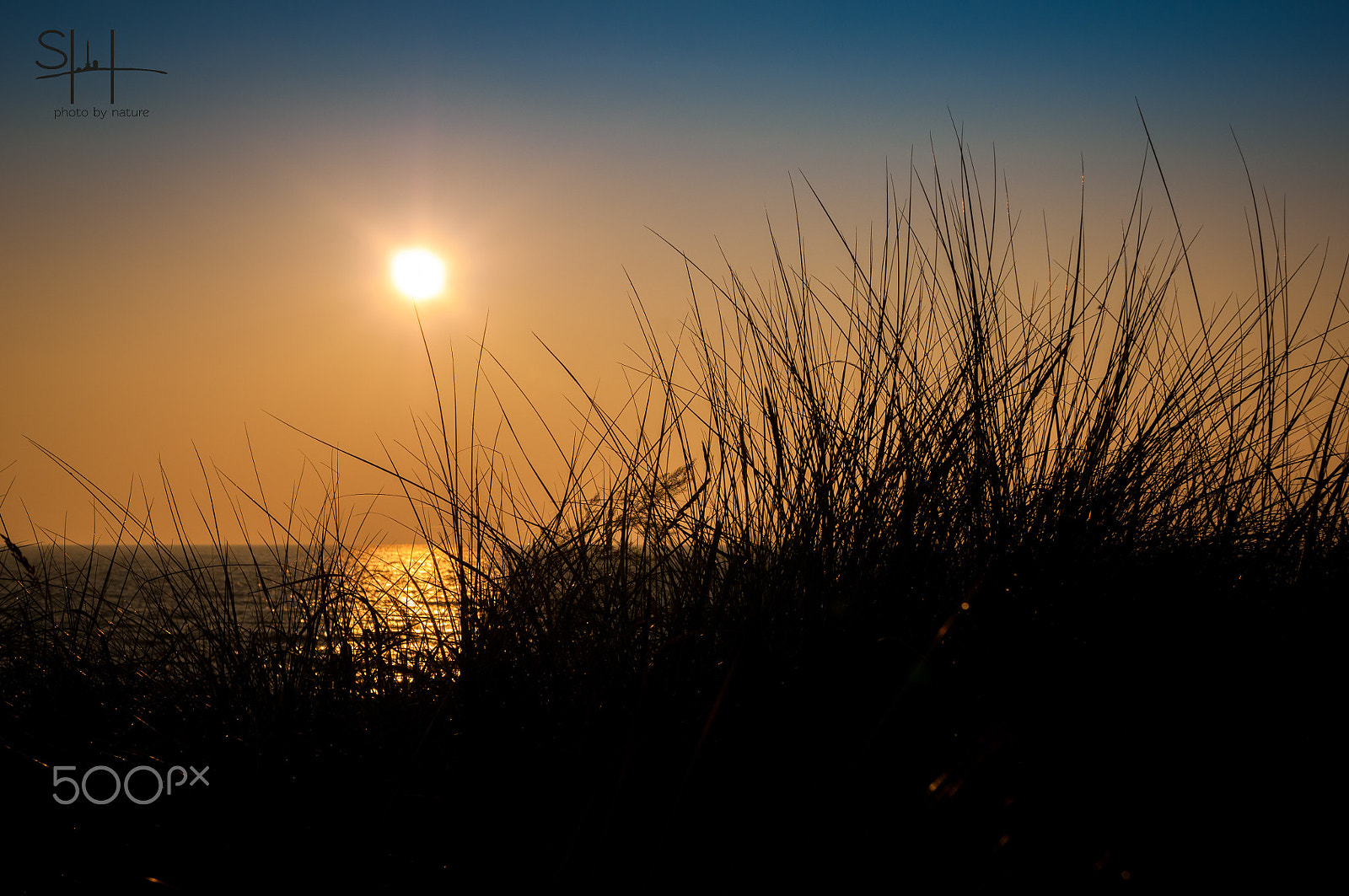 Sigma 18-50mm F2.8-4.5 DC OS HSM sample photo. Sunbeach photography