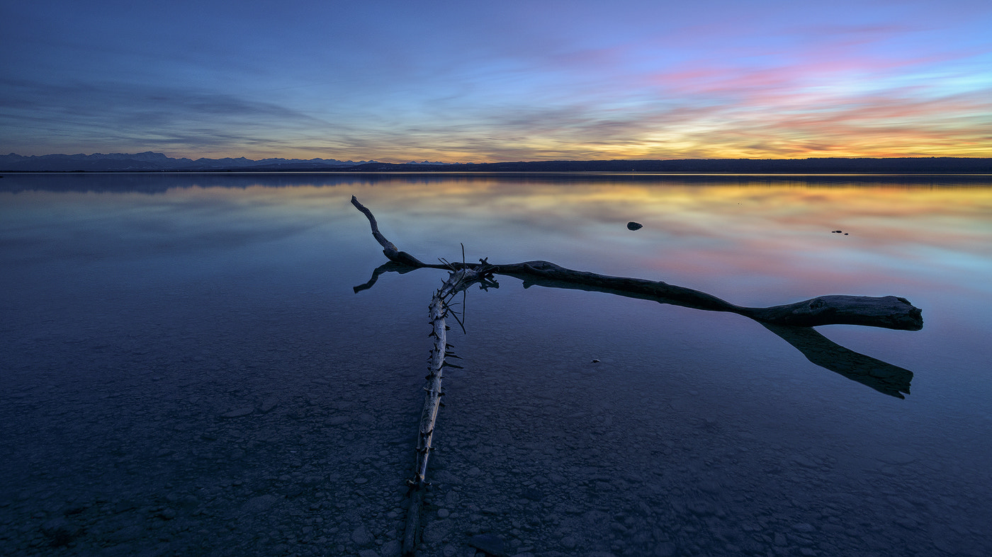 Nikon D800 + Nikon AF-S Nikkor 20mm F1.8G ED sample photo. Coulors of nature photography