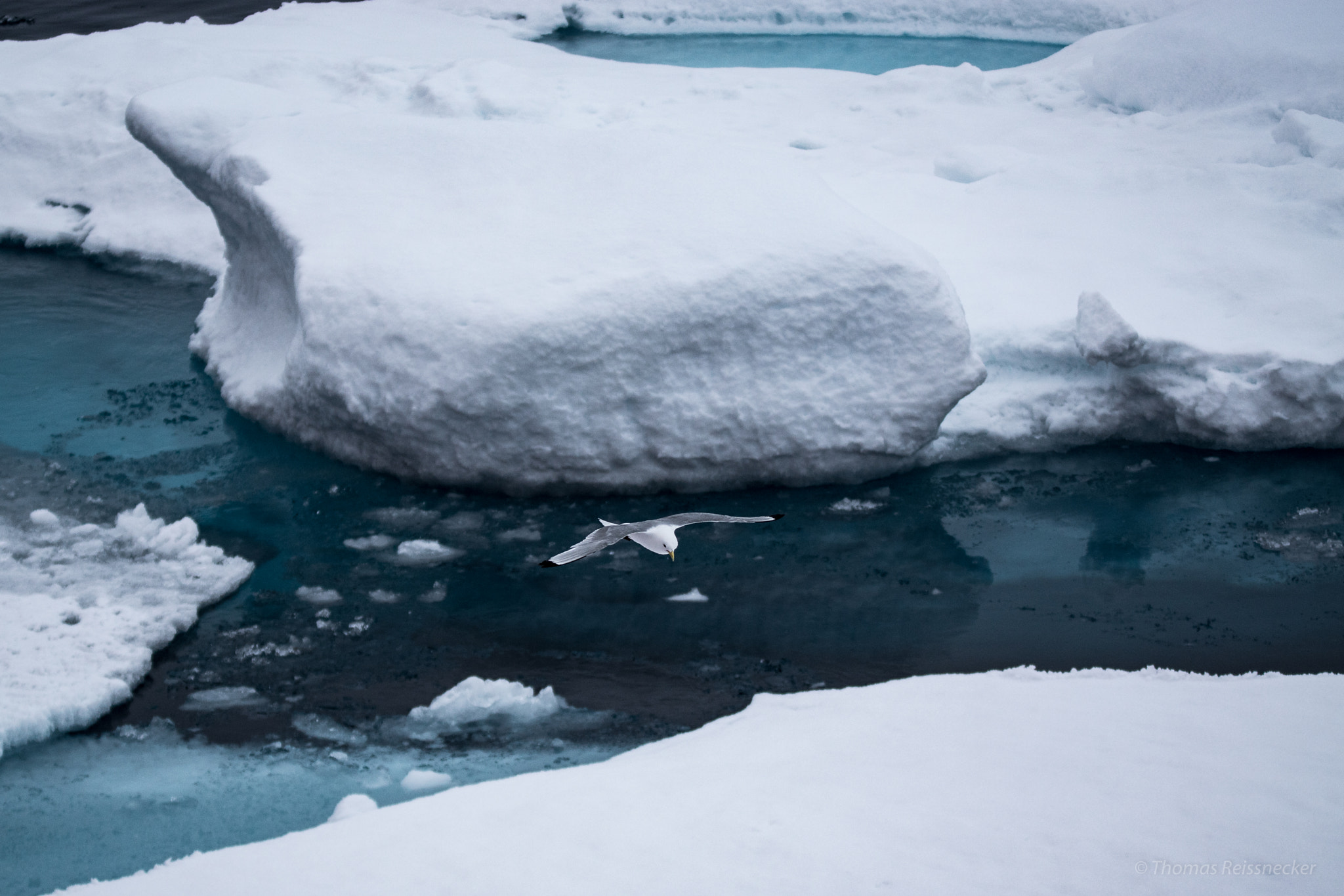 Sony ILCA-77M2 sample photo. Arctic ice photography