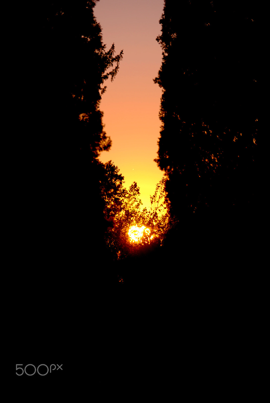 Nikon D80 sample photo. Lava sky photography