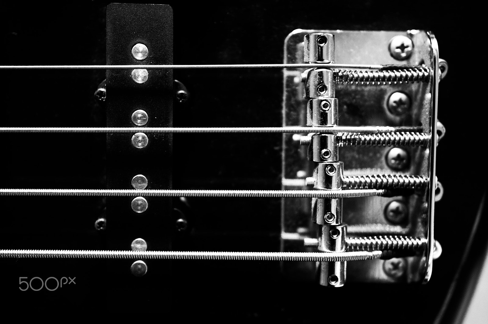 Nikon D90 sample photo. Bass photography