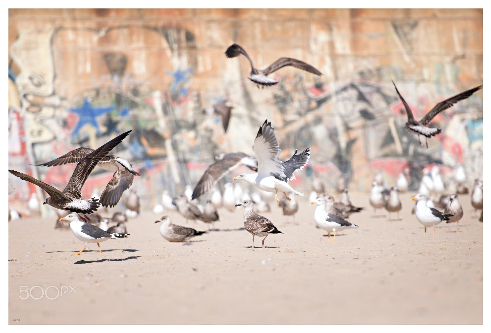 Nikon AF-S Nikkor 70-200mm F2.8G ED VR II sample photo. Busy on the beach photography