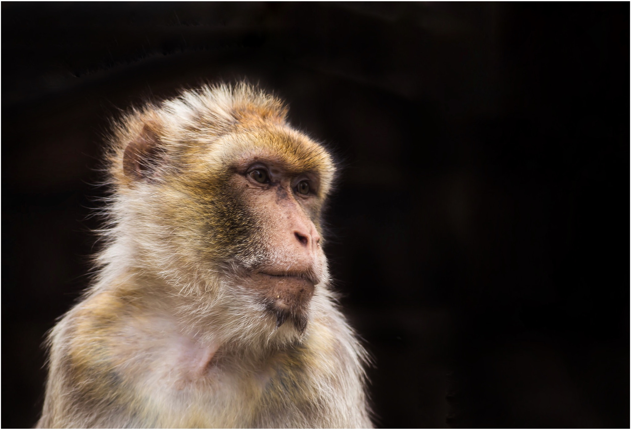 Canon EOS 6D + Canon EF 400mm F5.6L USM sample photo. Lost in thought photography