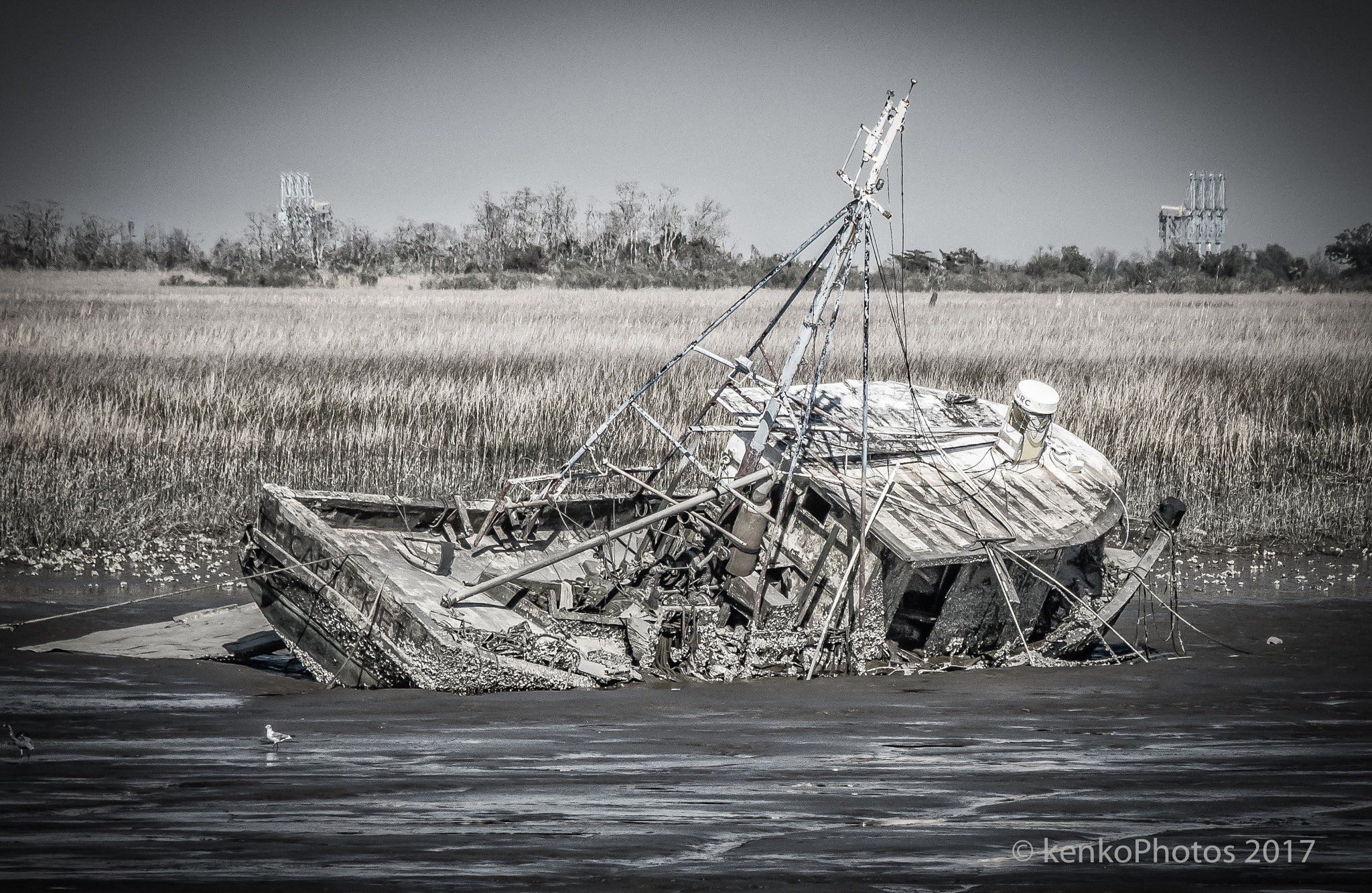 Sigma 18-250mm F3.5-6.3 DC Macro OS HSM sample photo. Shipwreck east of savannah photography