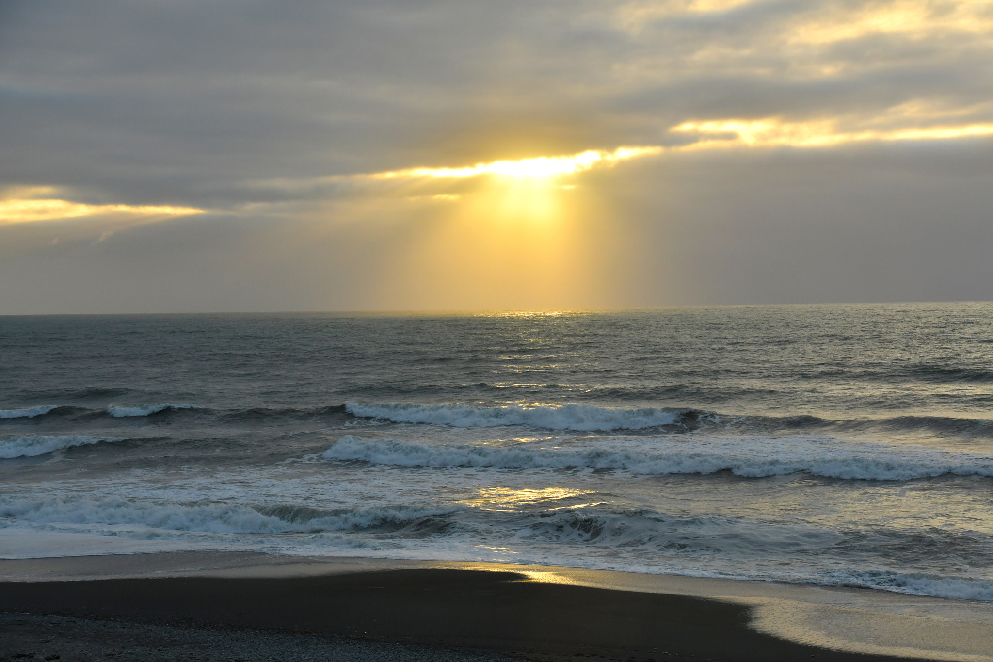 Nikon D500 sample photo. Nz photography
