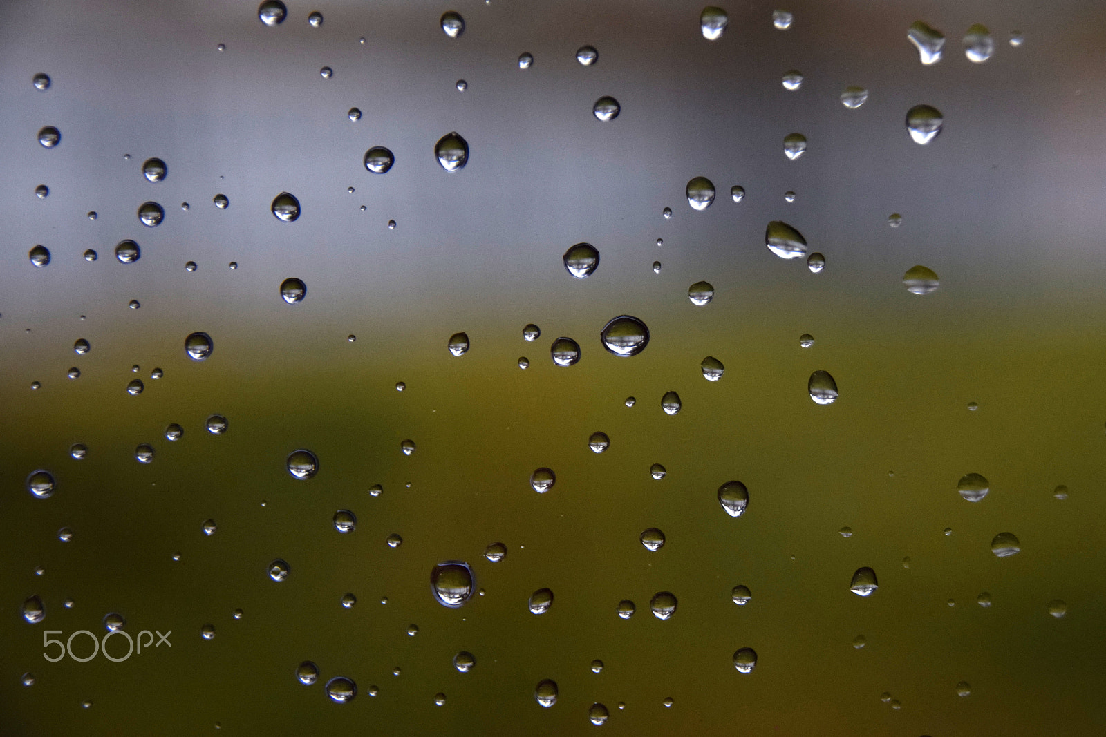 Sigma 18-250mm F3.5-6.3 DC Macro OS HSM sample photo. Raindrops photography