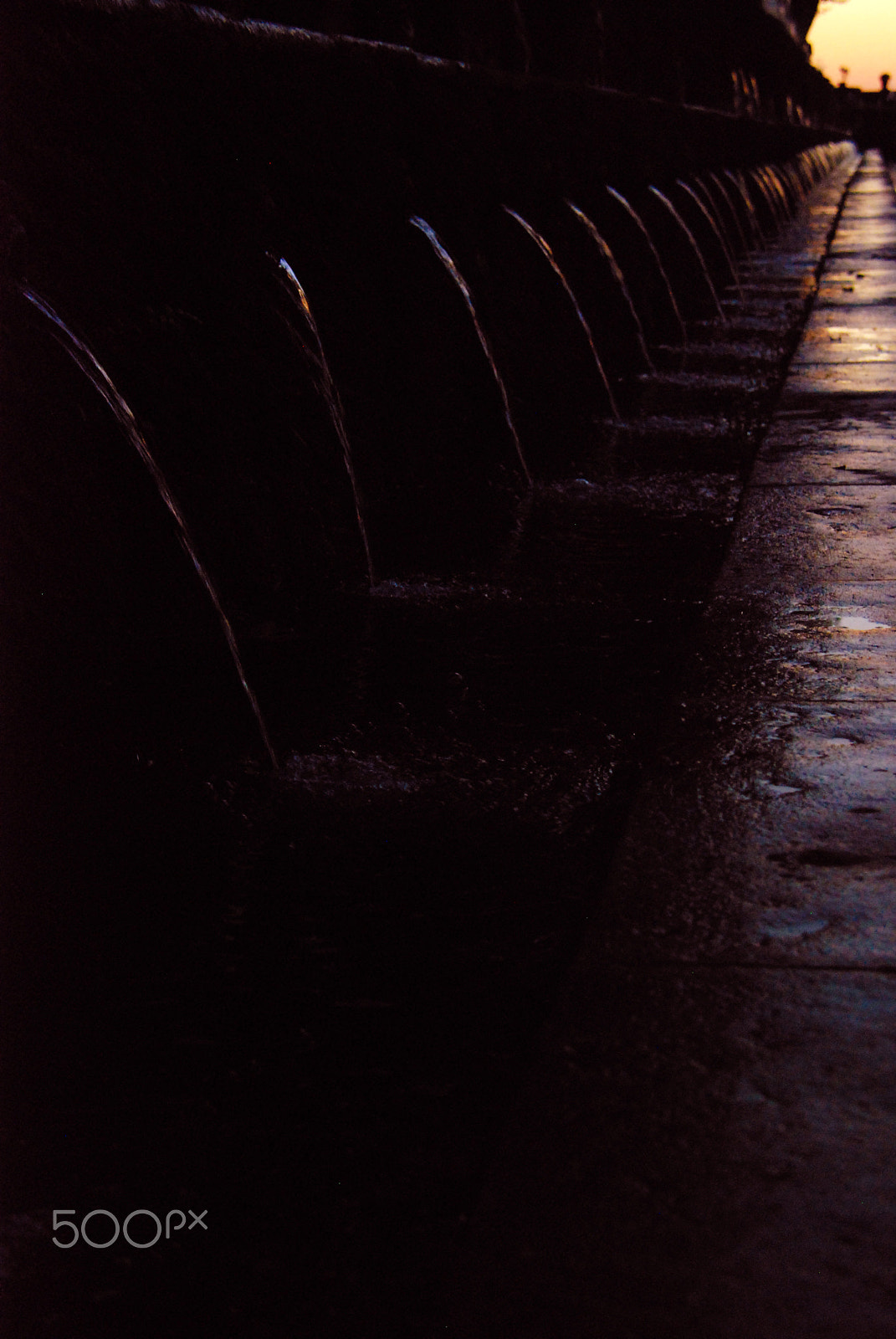 Nikon D80 sample photo. Row up to the light photography