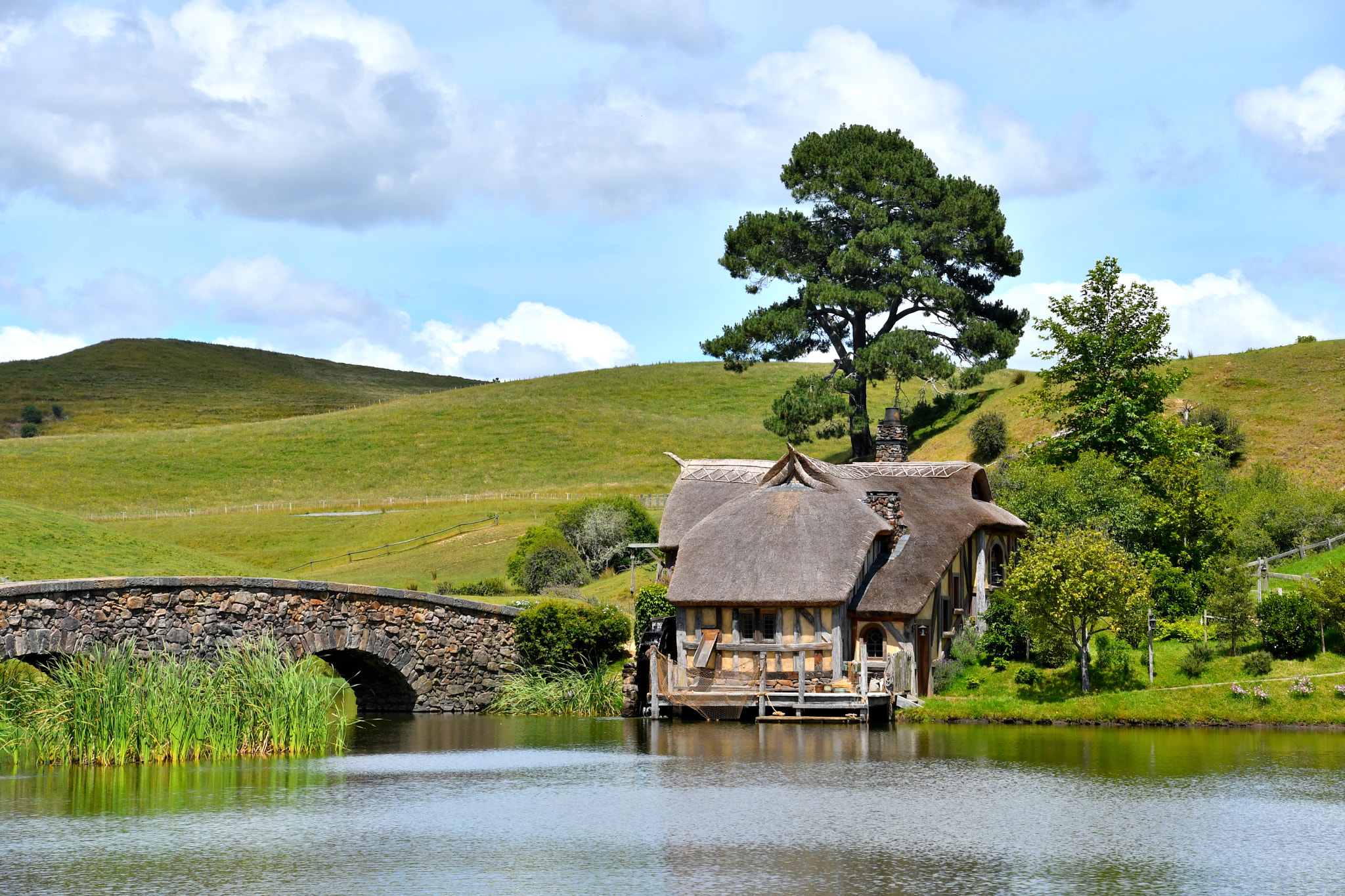 Nikon D500 sample photo. Nz photography
