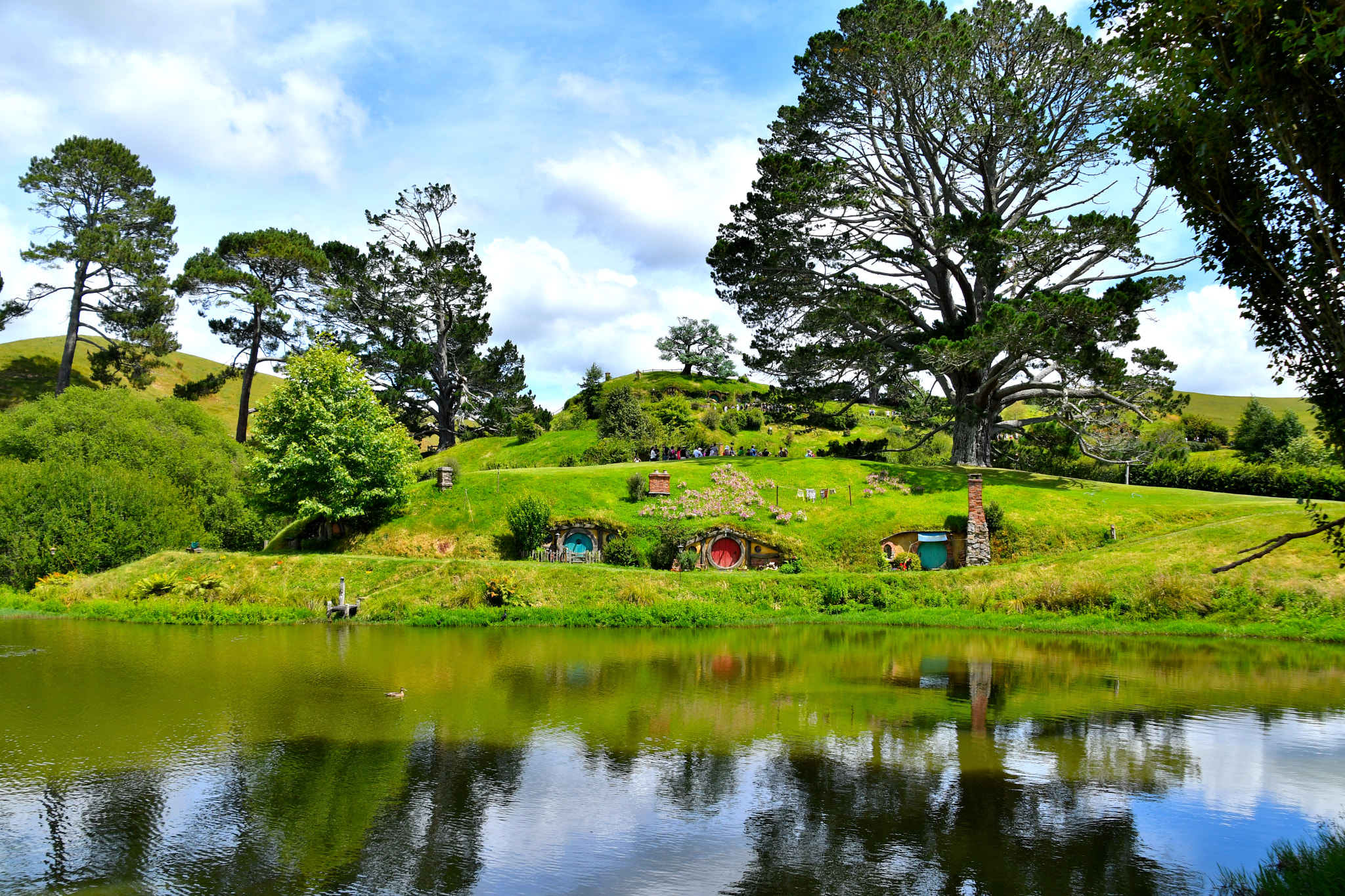 Nikon D500 sample photo. Nz photography