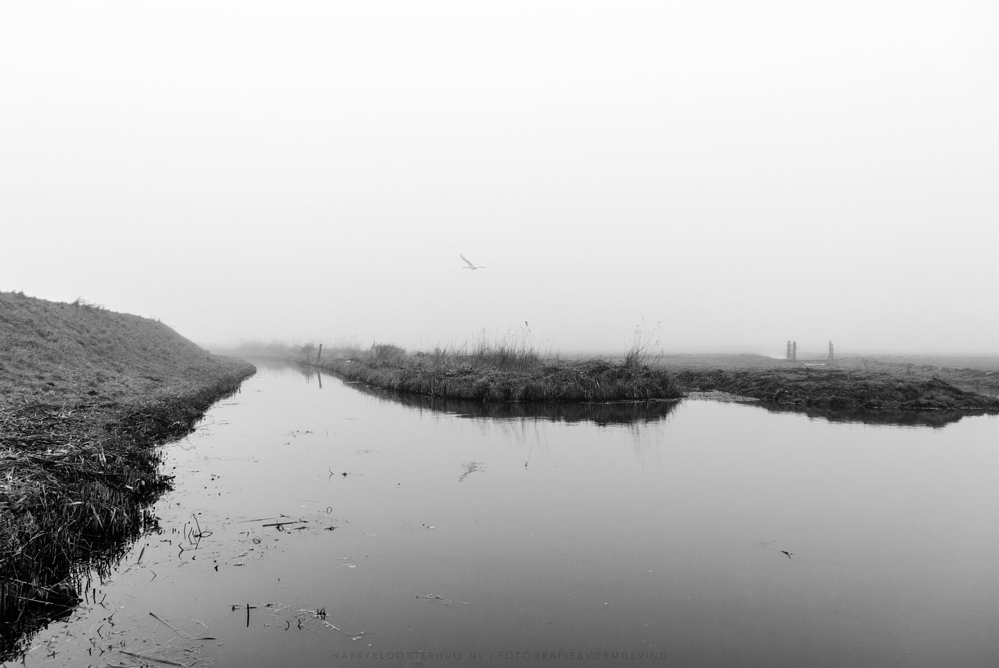 Nikon D80 sample photo. Misty morning flight photography