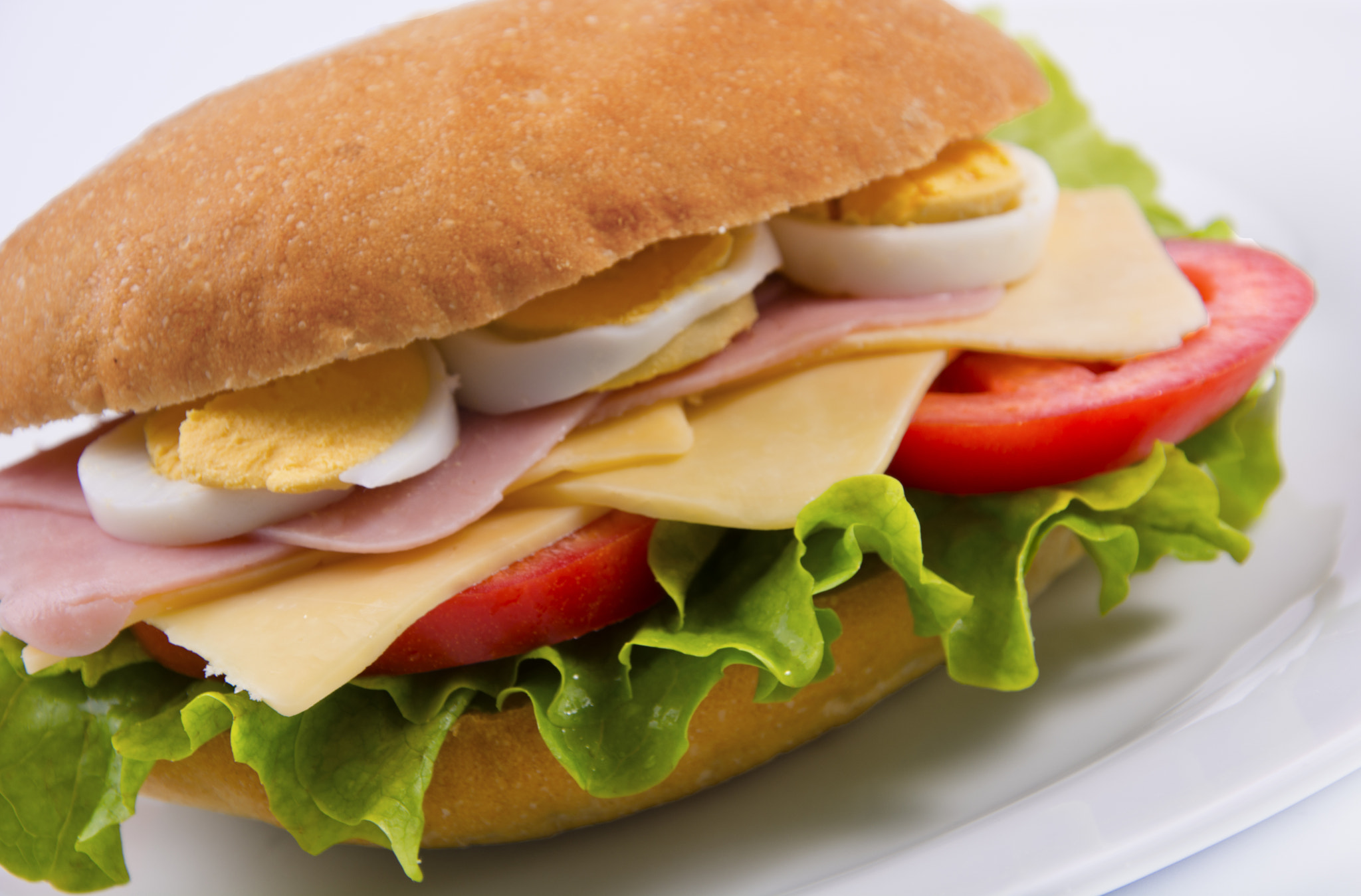 Nikon D7100 sample photo. Sandwich photography