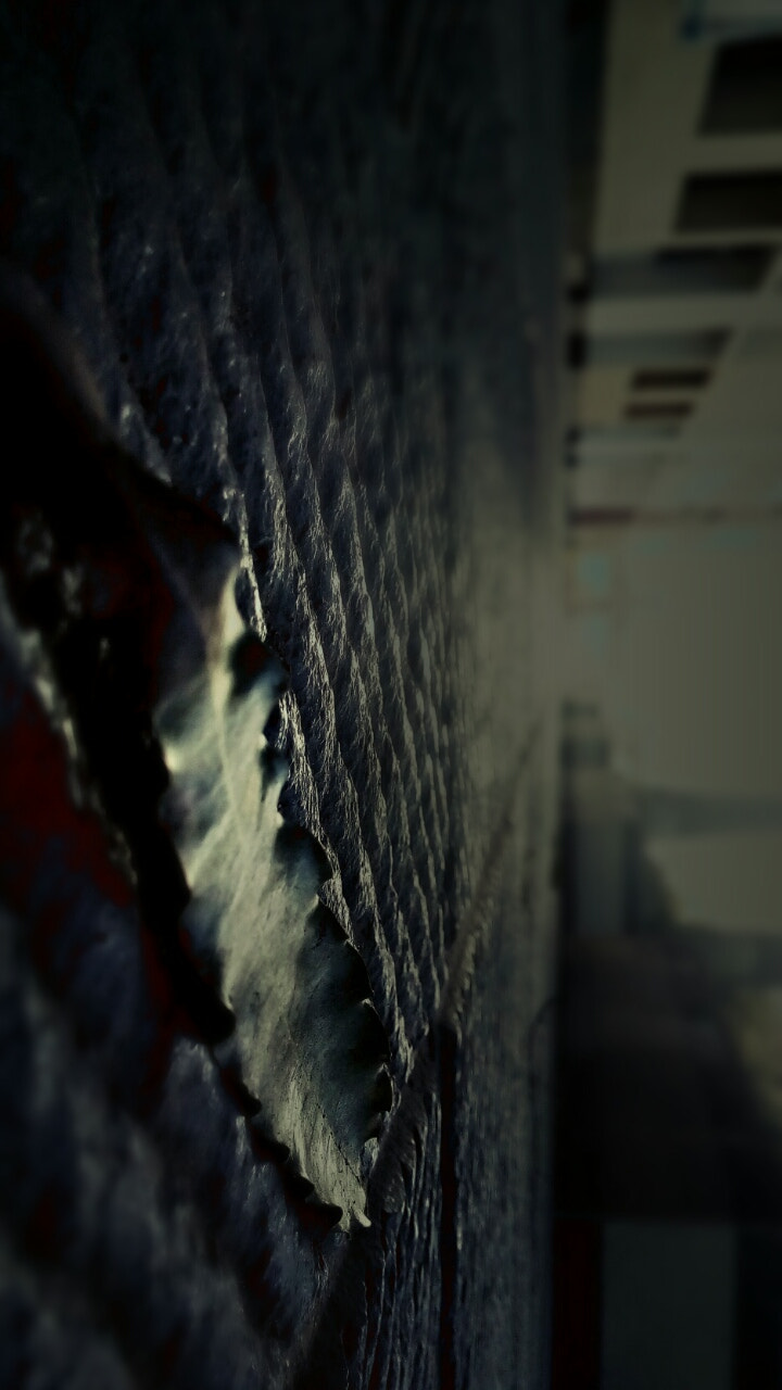 ASUS Zenfone Go (ASUS_Z00VD) sample photo. The last leaf photography