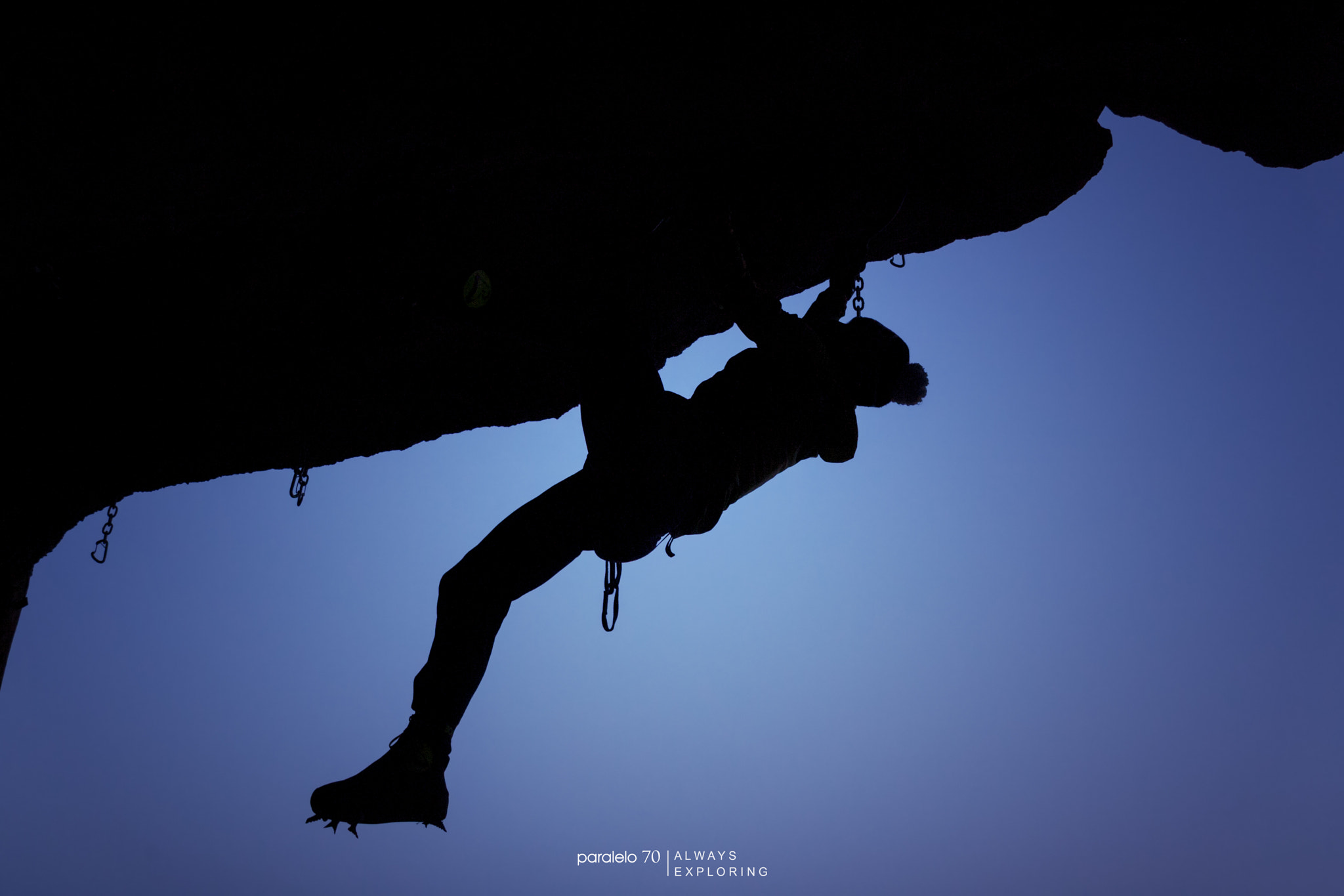 Canon EOS-1D Mark II N + Canon EF 24-105mm F4L IS USM sample photo. Climbing the ceiling photography