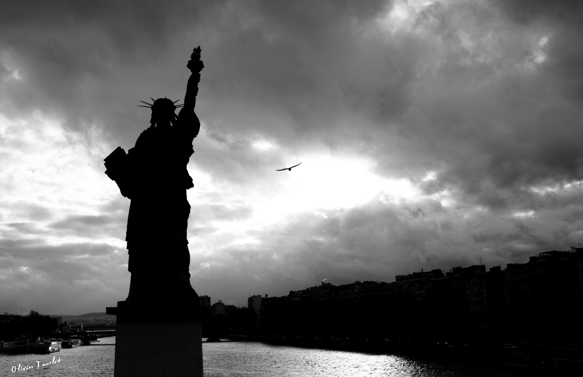 Canon EF 35mm F1.4L USM sample photo. From paris to new york photography