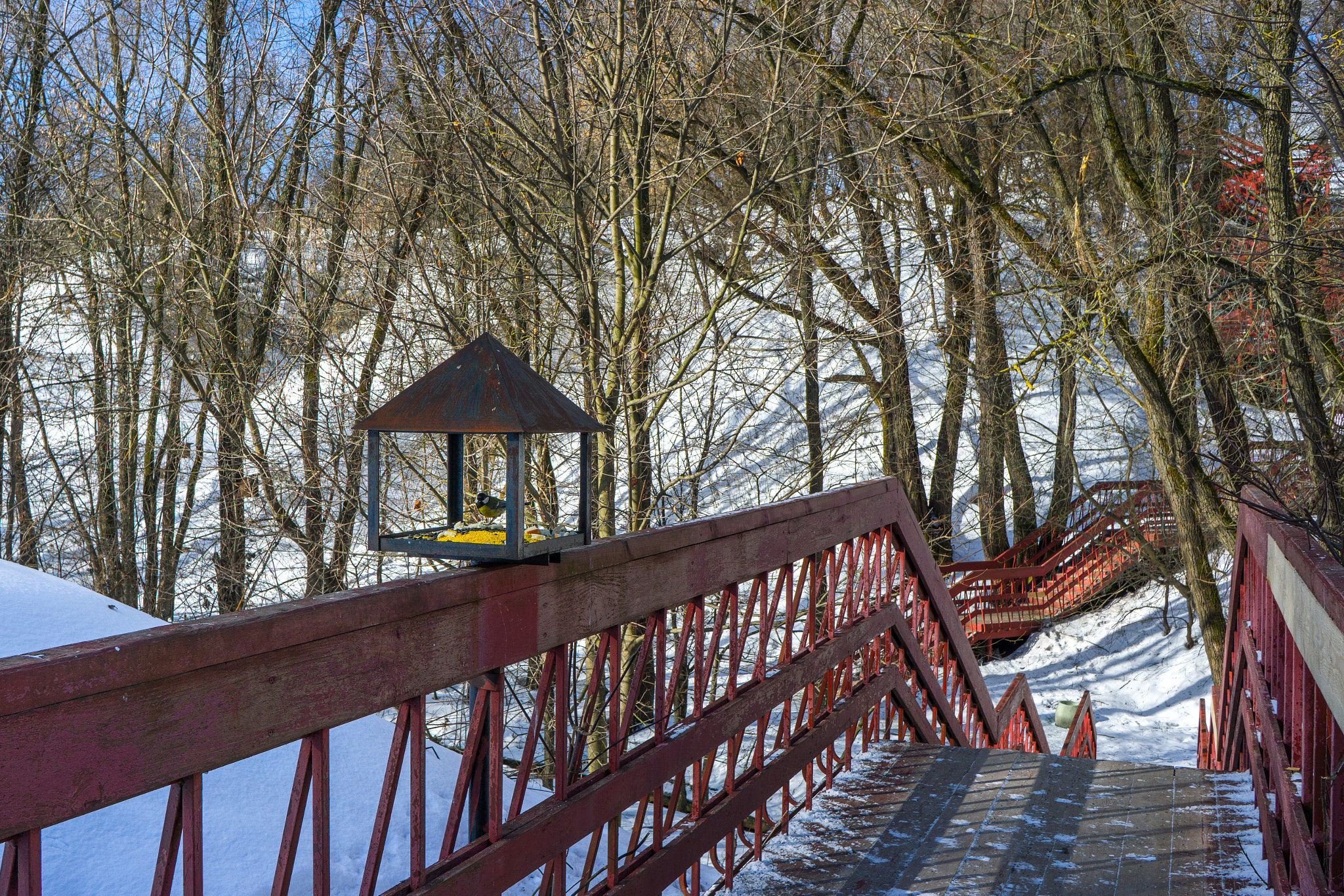 Sony E 20mm F2.8 sample photo. Kolomenskoye in winter photography