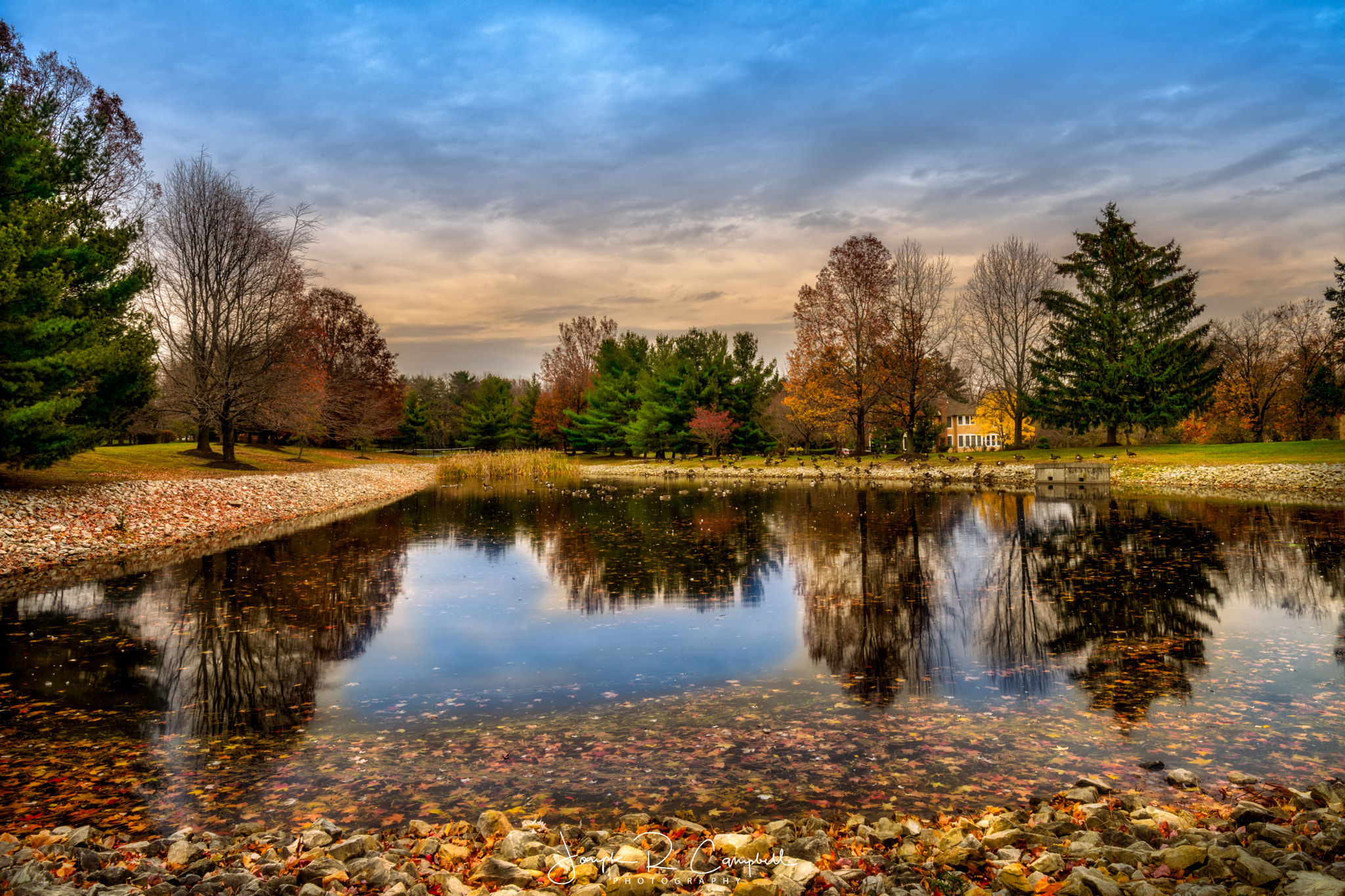 Samyang 16mm F2 ED AS UMC CS sample photo. Fall splendor photography