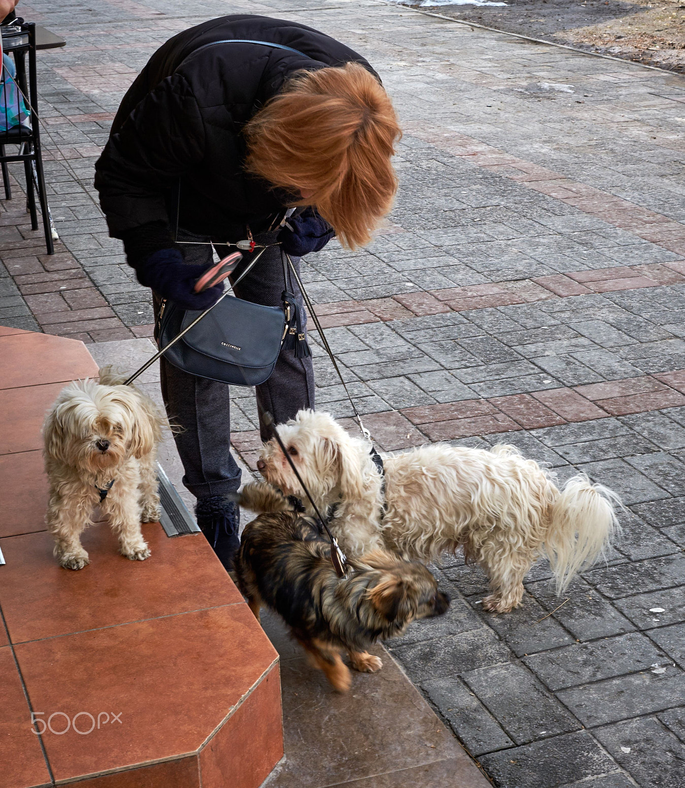 Fujifilm X-M1 sample photo. Entangled photography