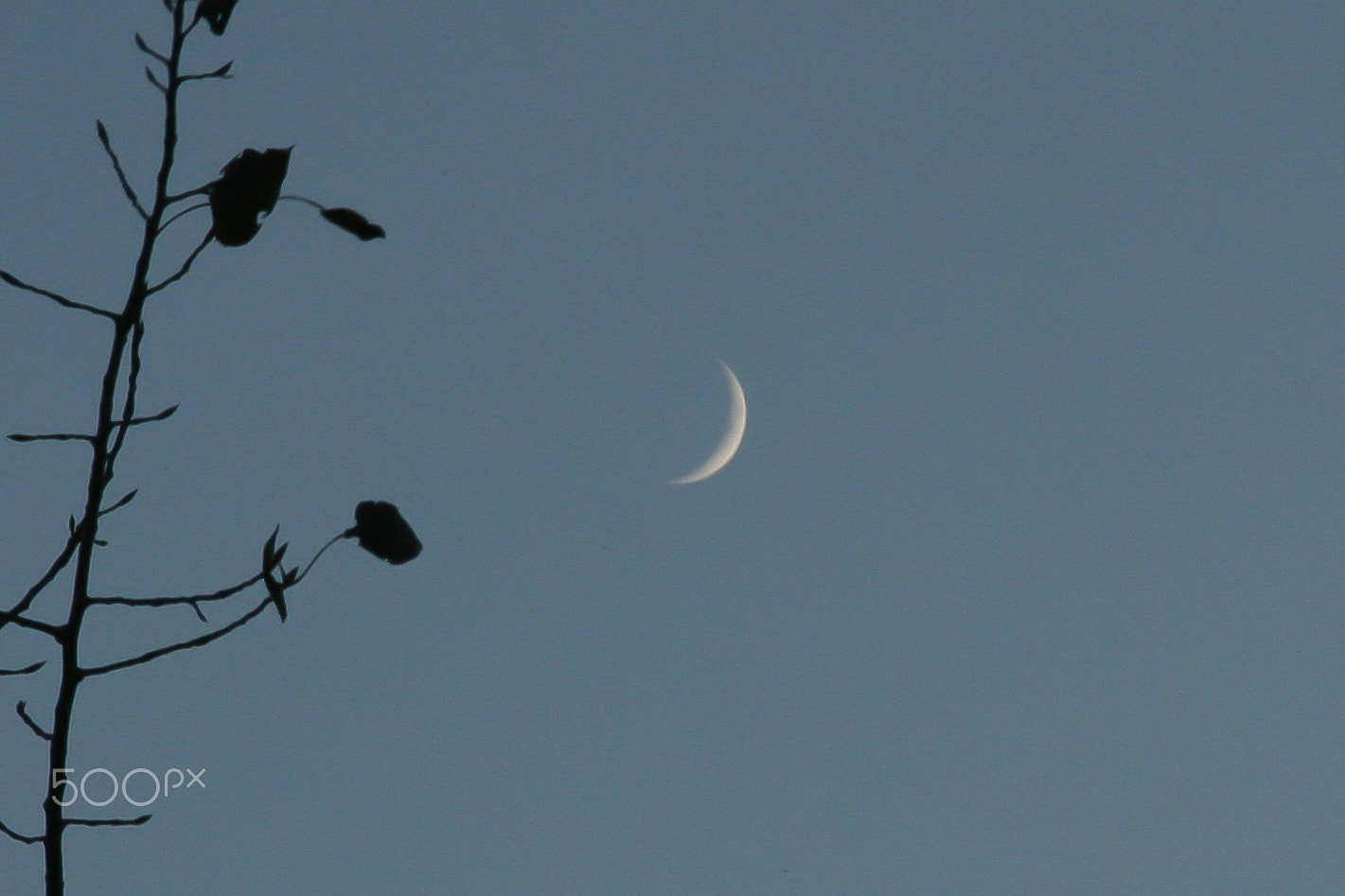 Canon EOS 400D (EOS Digital Rebel XTi / EOS Kiss Digital X) sample photo. Half moon photography