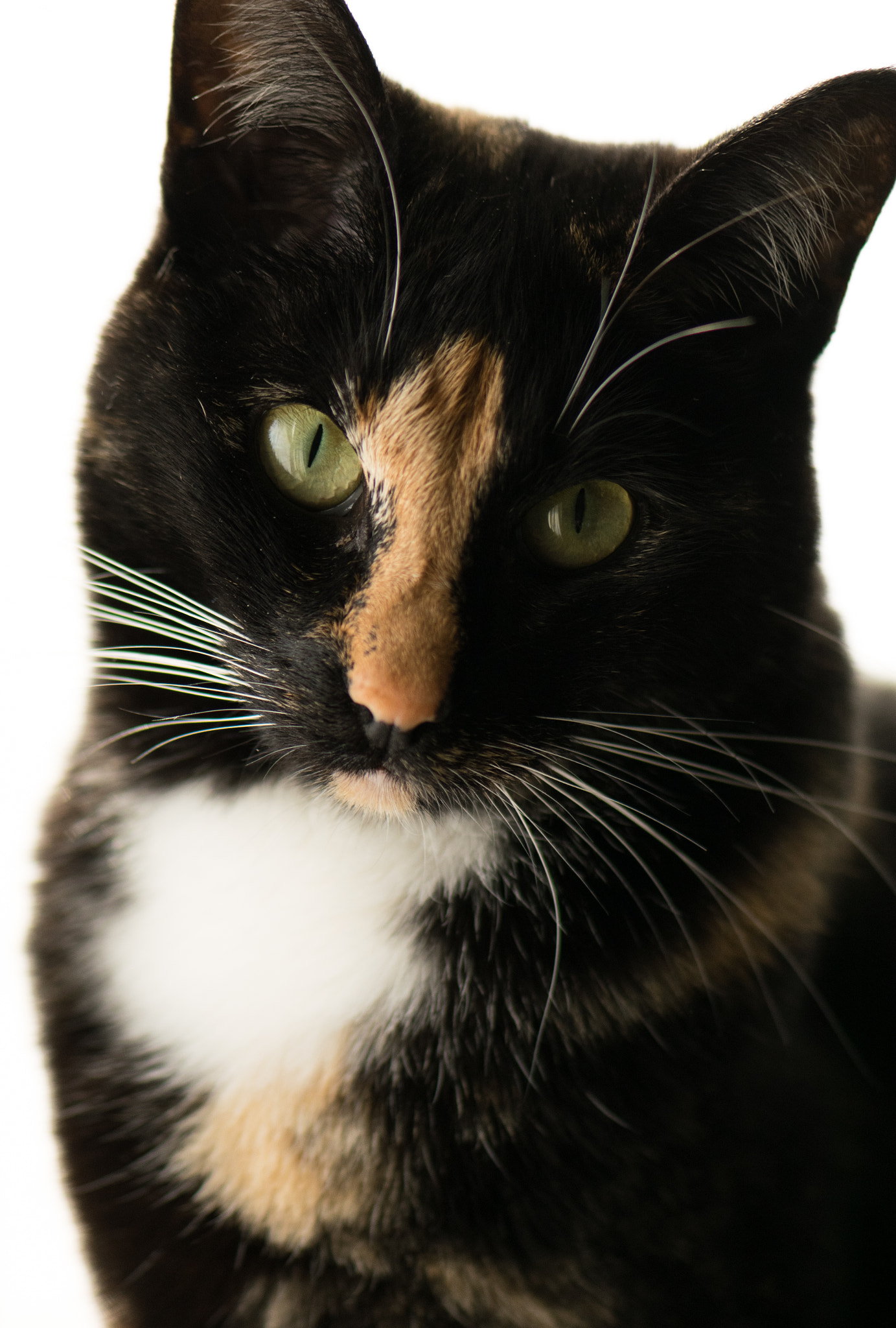 Nikon AF-S Micro-Nikkor 105mm F2.8G IF-ED VR sample photo. Trinity photography