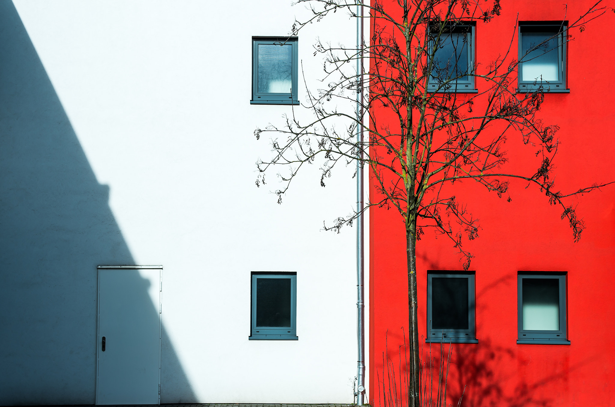 Pentax K-5 II + Sigma 70-200mm F2.8 EX DG Macro HSM II sample photo. Wall with tree photography