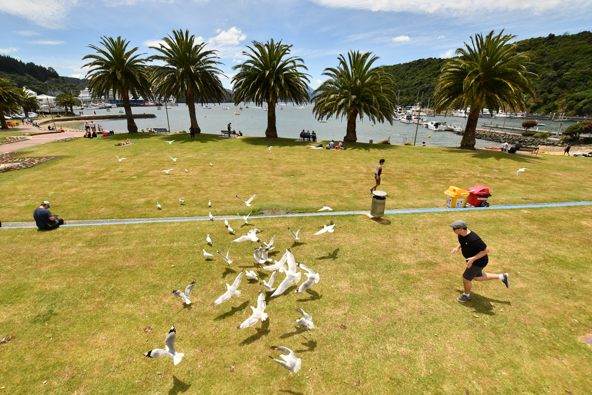 Nikon D500 + Sigma 10-20mm F3.5 EX DC HSM sample photo. Nz photography