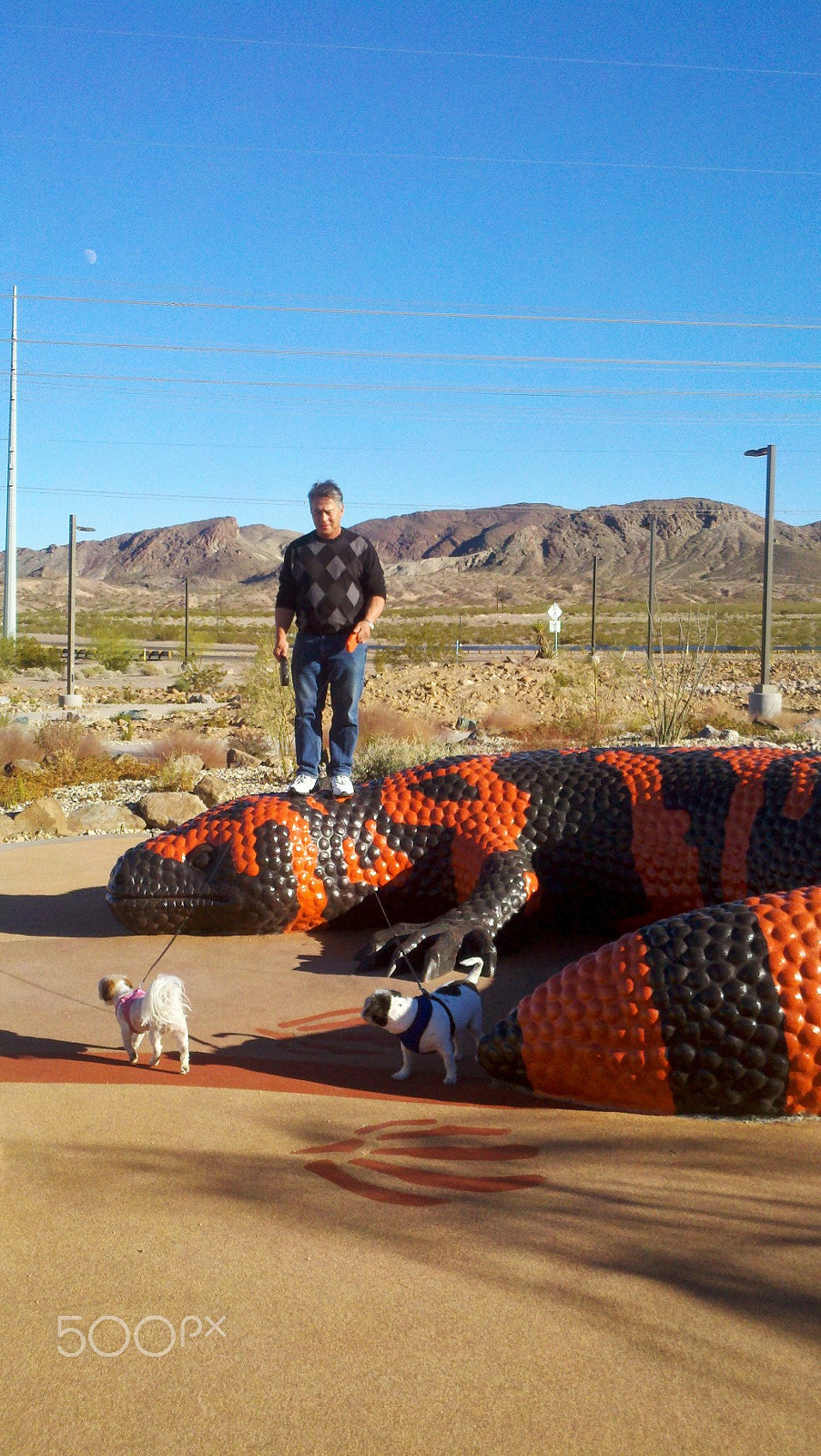 Motorola Droid X sample photo. Retirement finding fun things to do! photography