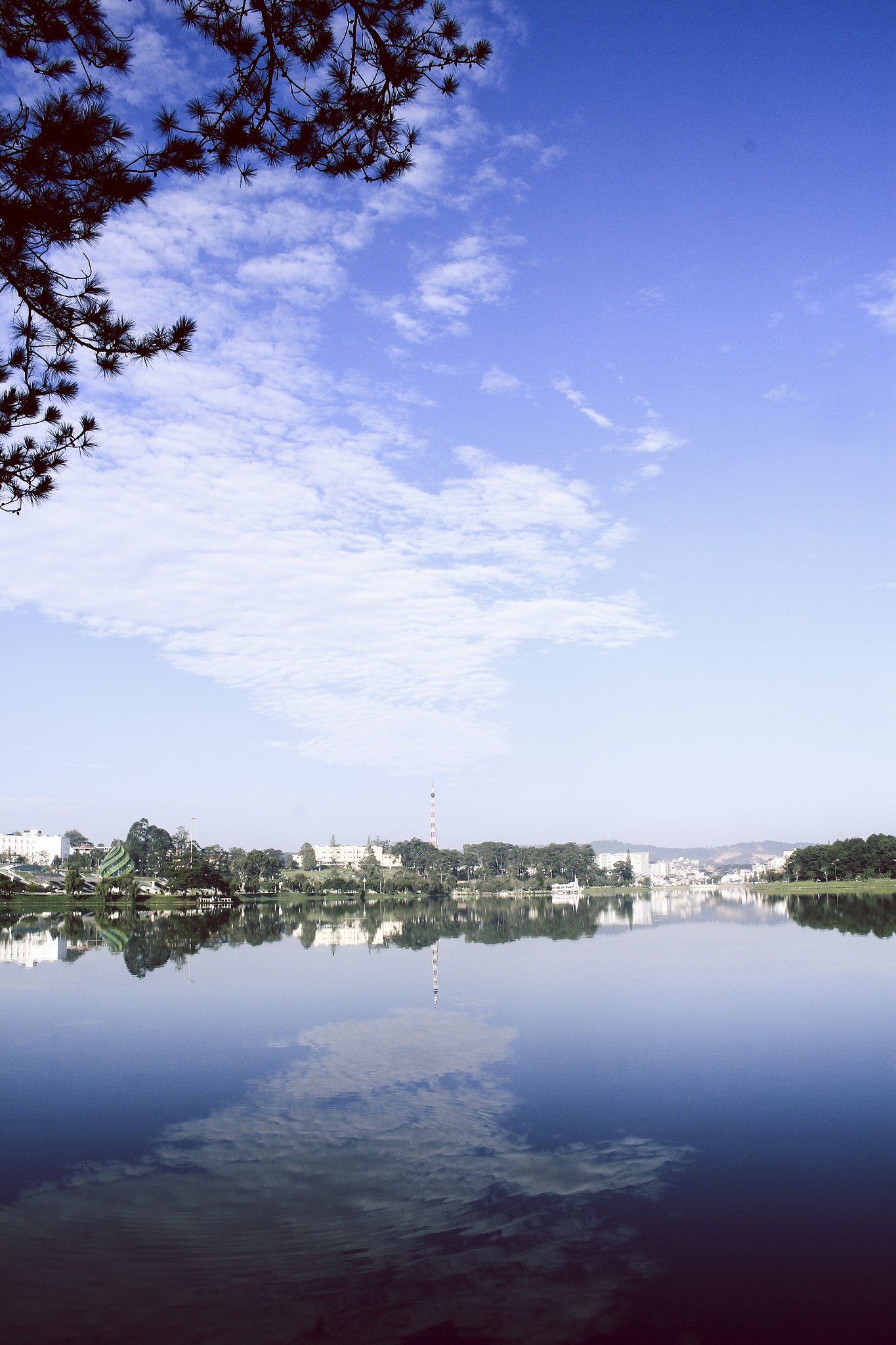 Canon EOS 60D sample photo. Img photography