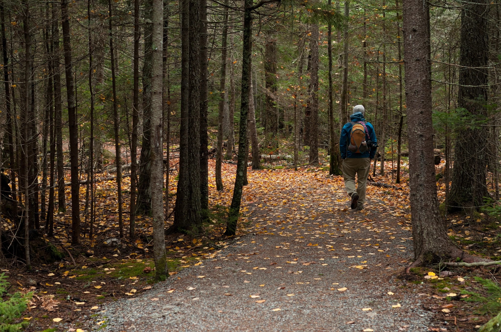 Nikon D300S sample photo. Maine in the fall photography