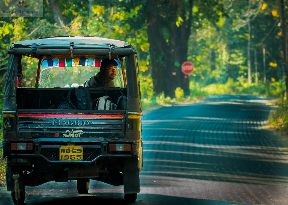Nikon D5500 sample photo. Journey companions....  photography