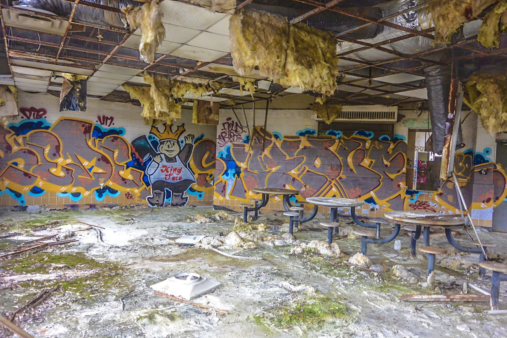Nikon 1 J3 sample photo. Bussin out the bando photography