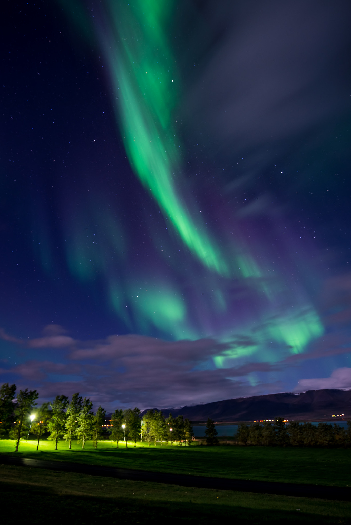 Nikon D610 sample photo. Aurora borealis in iceland photography