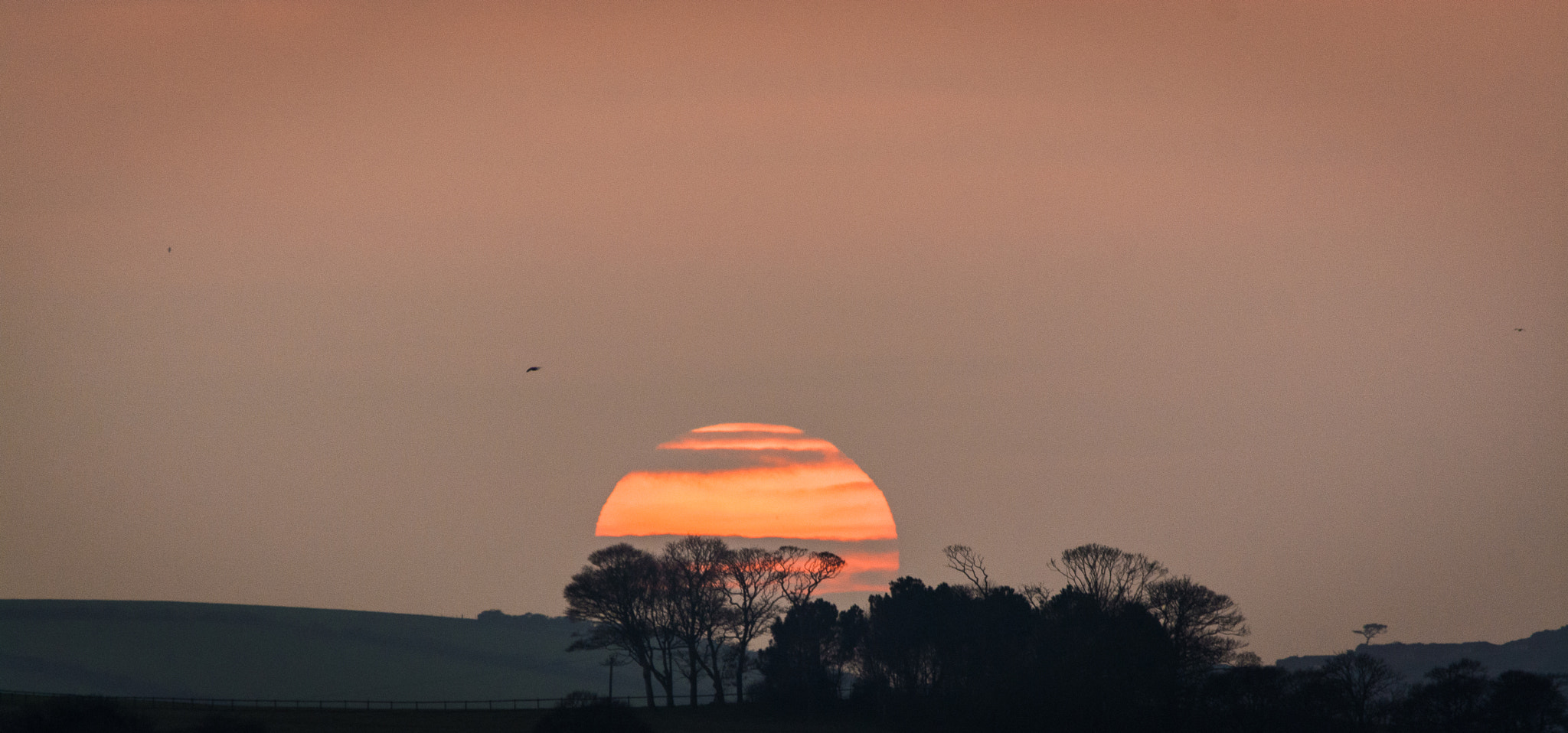 Nikon D5200 + Sigma 150-500mm F5-6.3 DG OS HSM sample photo. Mount edgecombe sunset photography