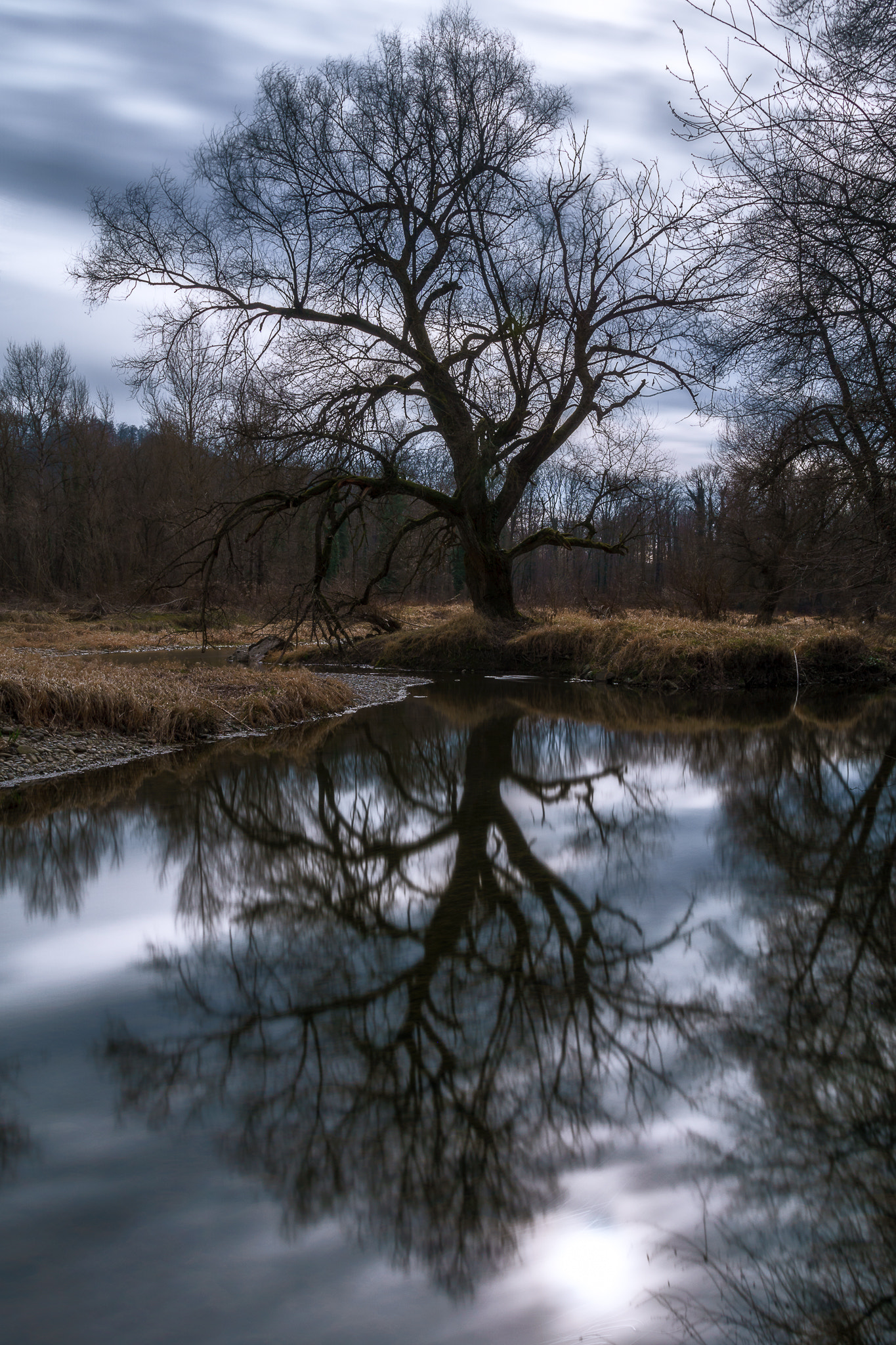 Sony ILCA-77M2 + Sigma 18-35mm F1.8 DC HSM Art sample photo. Reflection photography