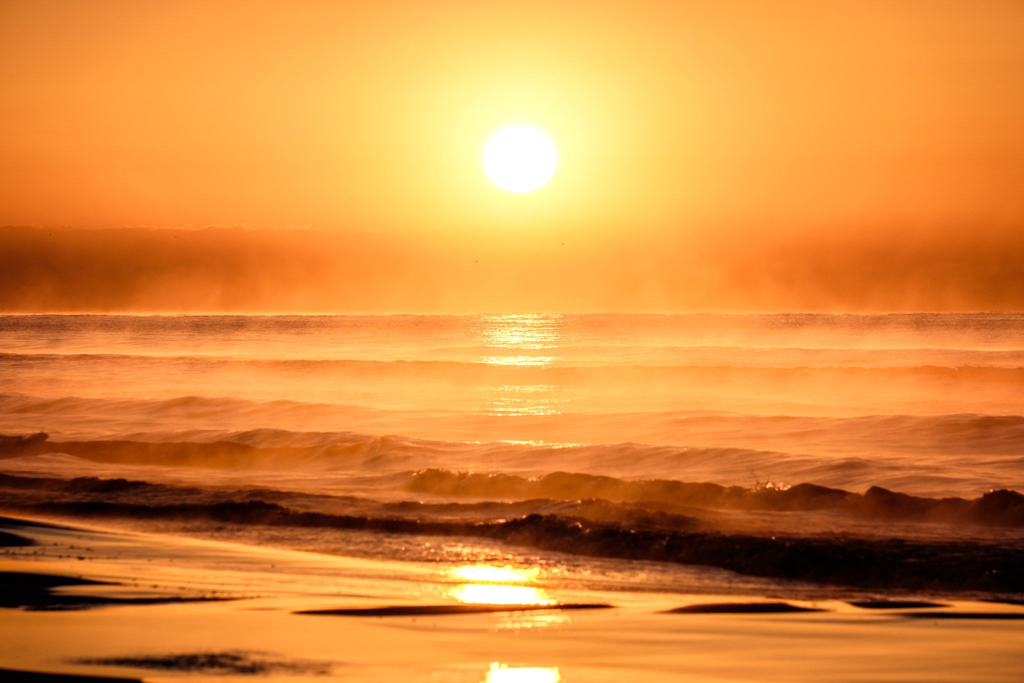 Fujifilm XF 55-200mm F3.5-4.8 R LM OIS sample photo. Morning sun photography