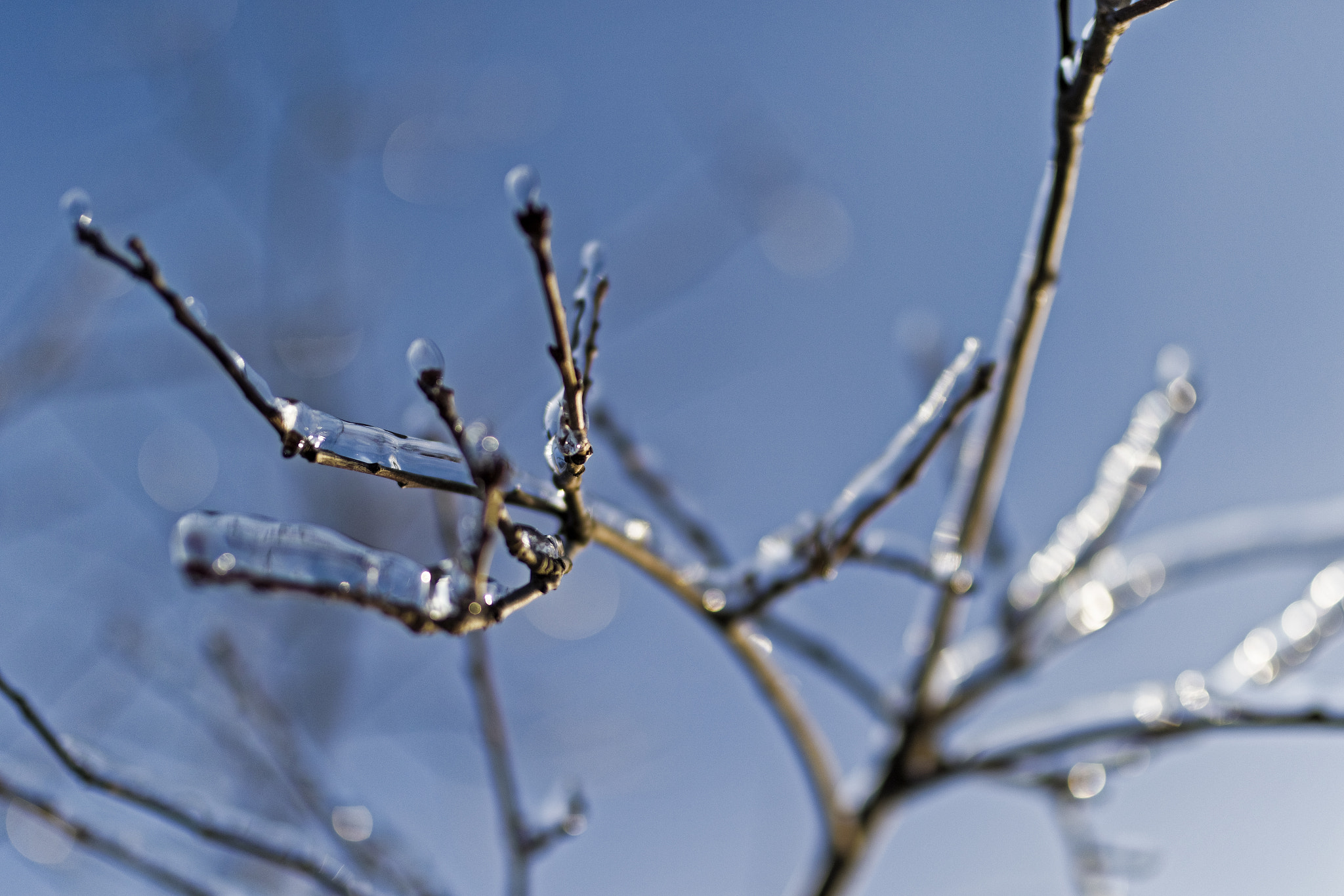 Sigma 35mm F1.4 DG HSM Art sample photo. Glisten photography