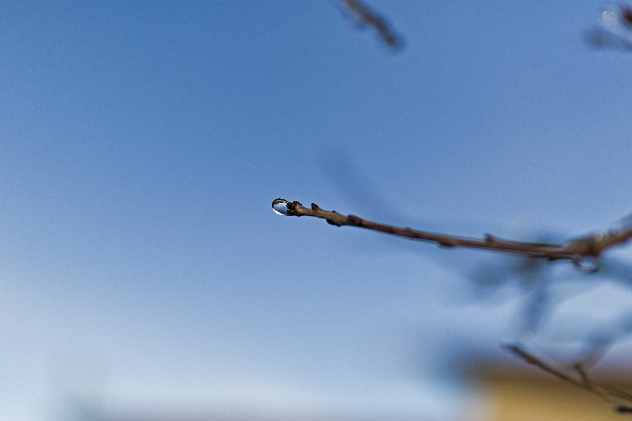 Sigma 35mm F1.4 DG HSM Art sample photo. Glisten photography