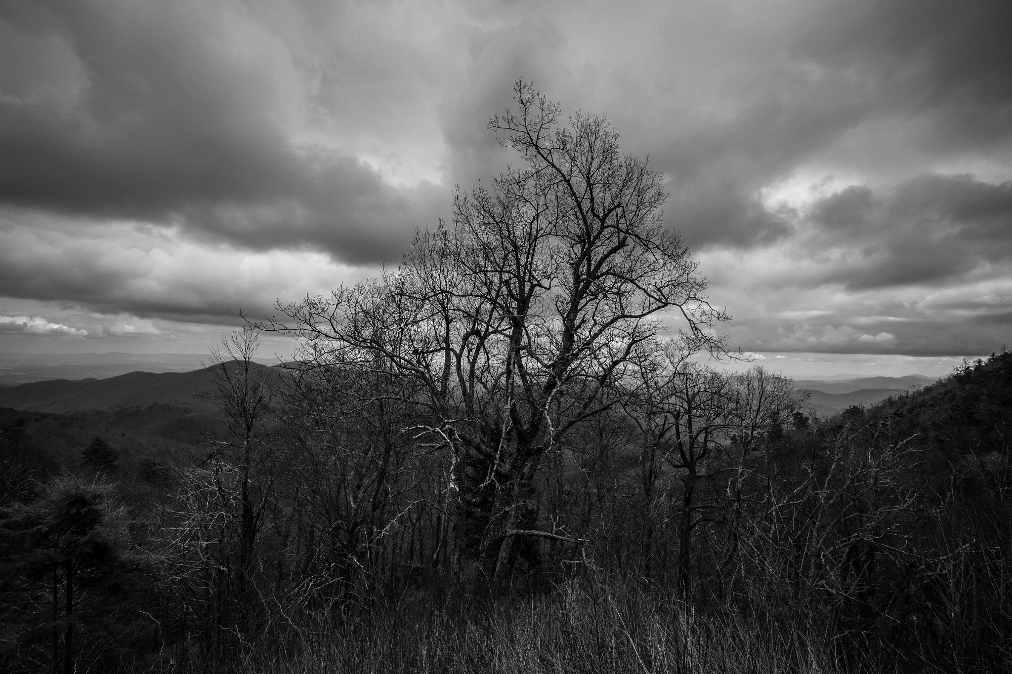 Nikon D810 sample photo. From singecat overlook off the blueridge parkway in north carolina. photography