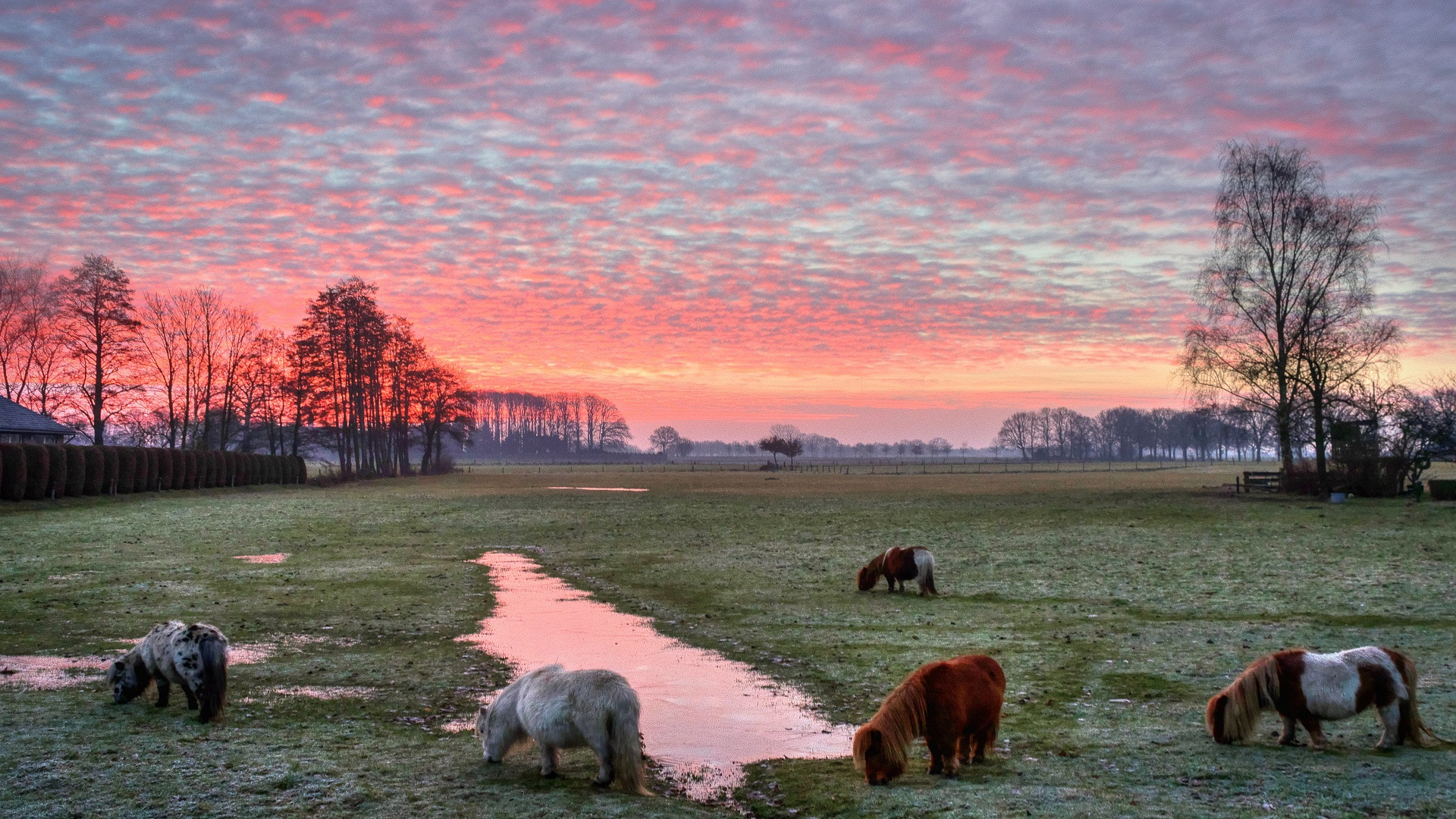 Canon EOS 7D Mark II + Canon EF-S 18-55mm F3.5-5.6 IS II sample photo. Beautiful sky during the sunrise in zenderen, the netherlands. photography