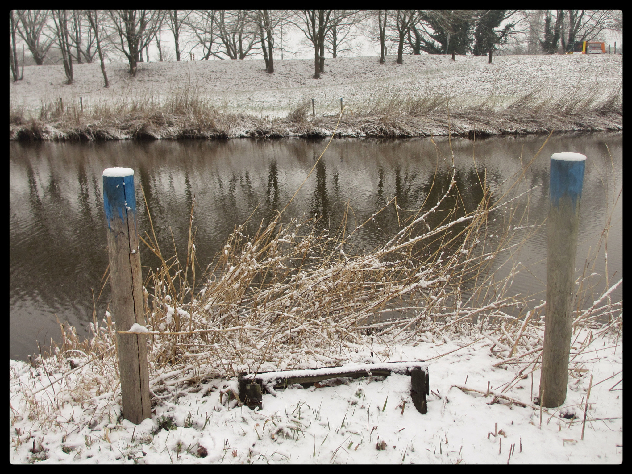 Canon PowerShot ELPH 310 HS (IXUS 230 HS / IXY 600F) sample photo