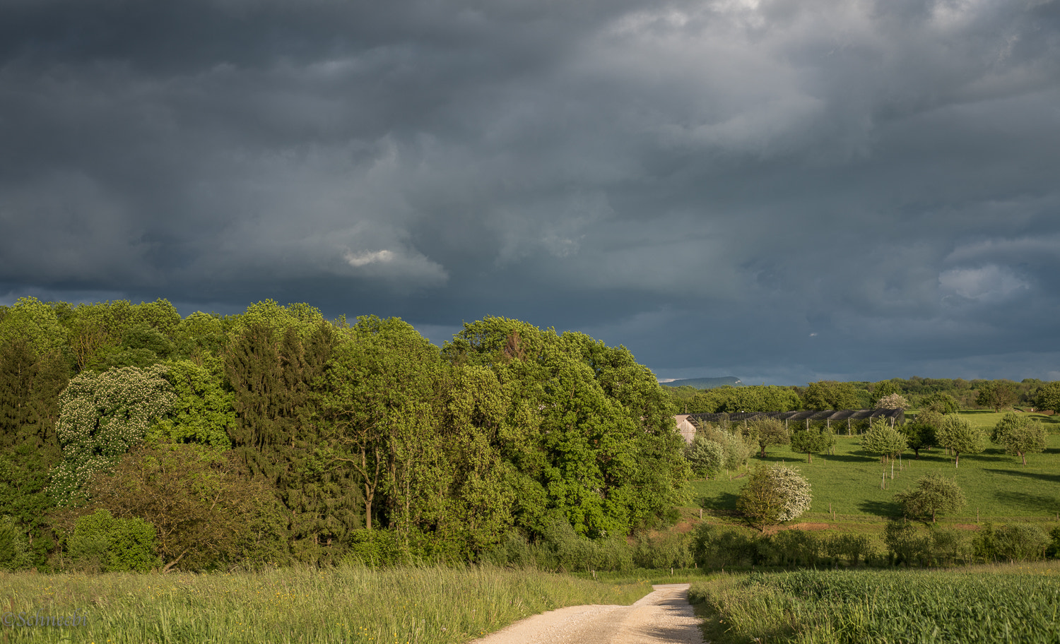 Nikon D810 + Nikon AF Nikkor 50mm F1.8D sample photo. Abendstimmung photography