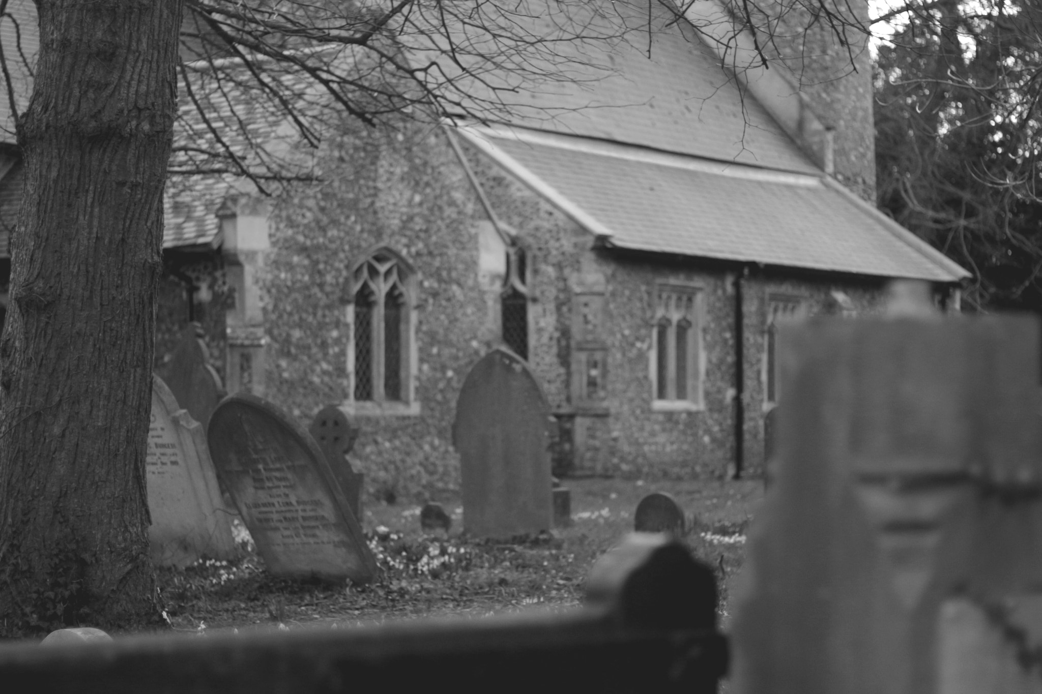 Canon EOS 650D (EOS Rebel T4i / EOS Kiss X6i) + Canon EF 50mm F1.8 STM sample photo. Church photography