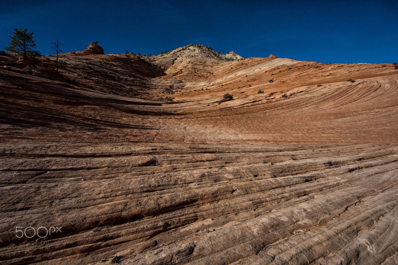 Nikon D50 sample photo. Lines photography