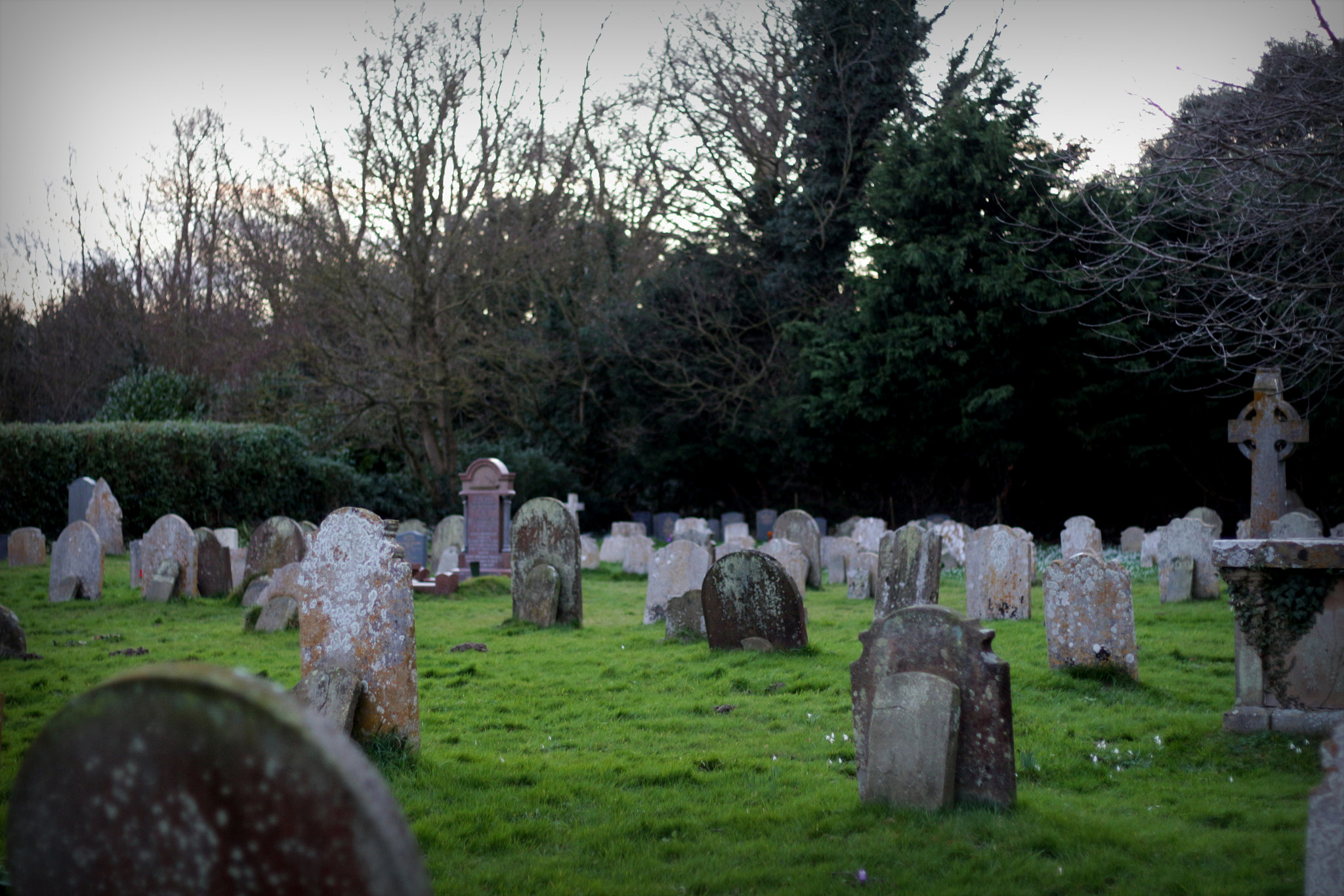 Canon EOS 650D (EOS Rebel T4i / EOS Kiss X6i) + Canon EF 50mm F1.8 STM sample photo. Graveyard photography