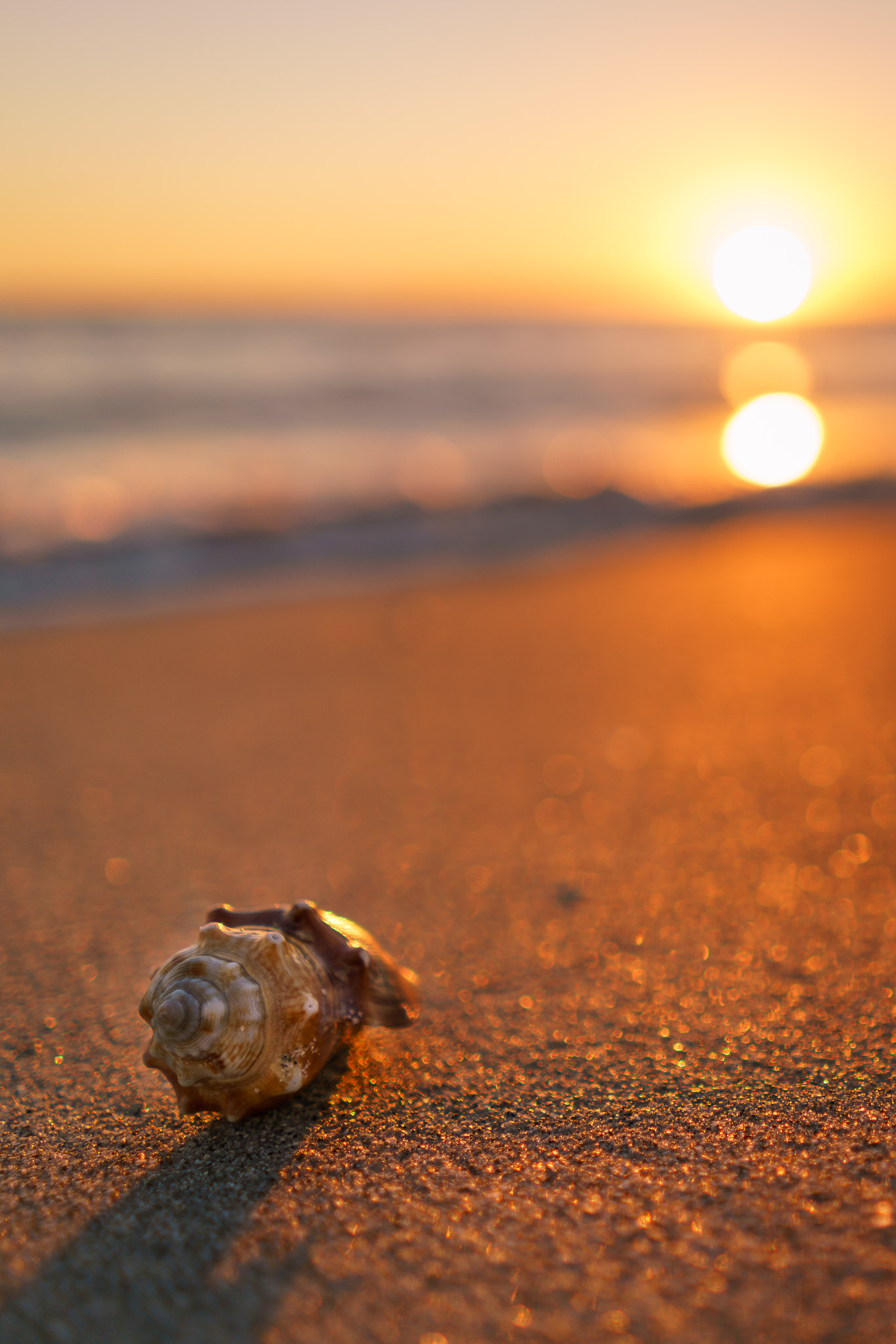 Sony FE 28mm F2 sample photo. Sunset in sanibel island photography