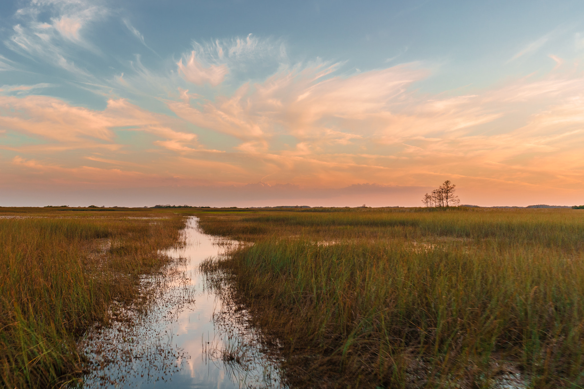 Sony FE 28mm F2 sample photo. Everglades, florida photography