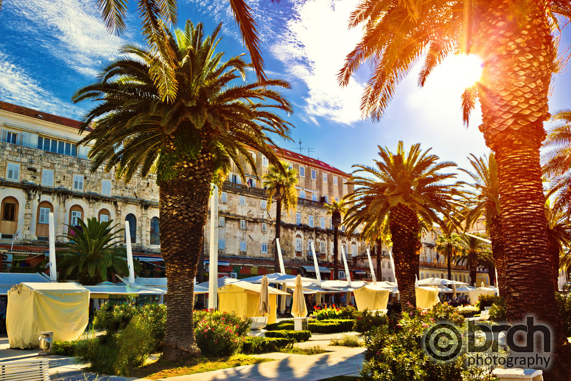 Canon EF-S 10-22mm F3.5-4.5 USM sample photo. Split main waterfront walkway palms and architecture photography