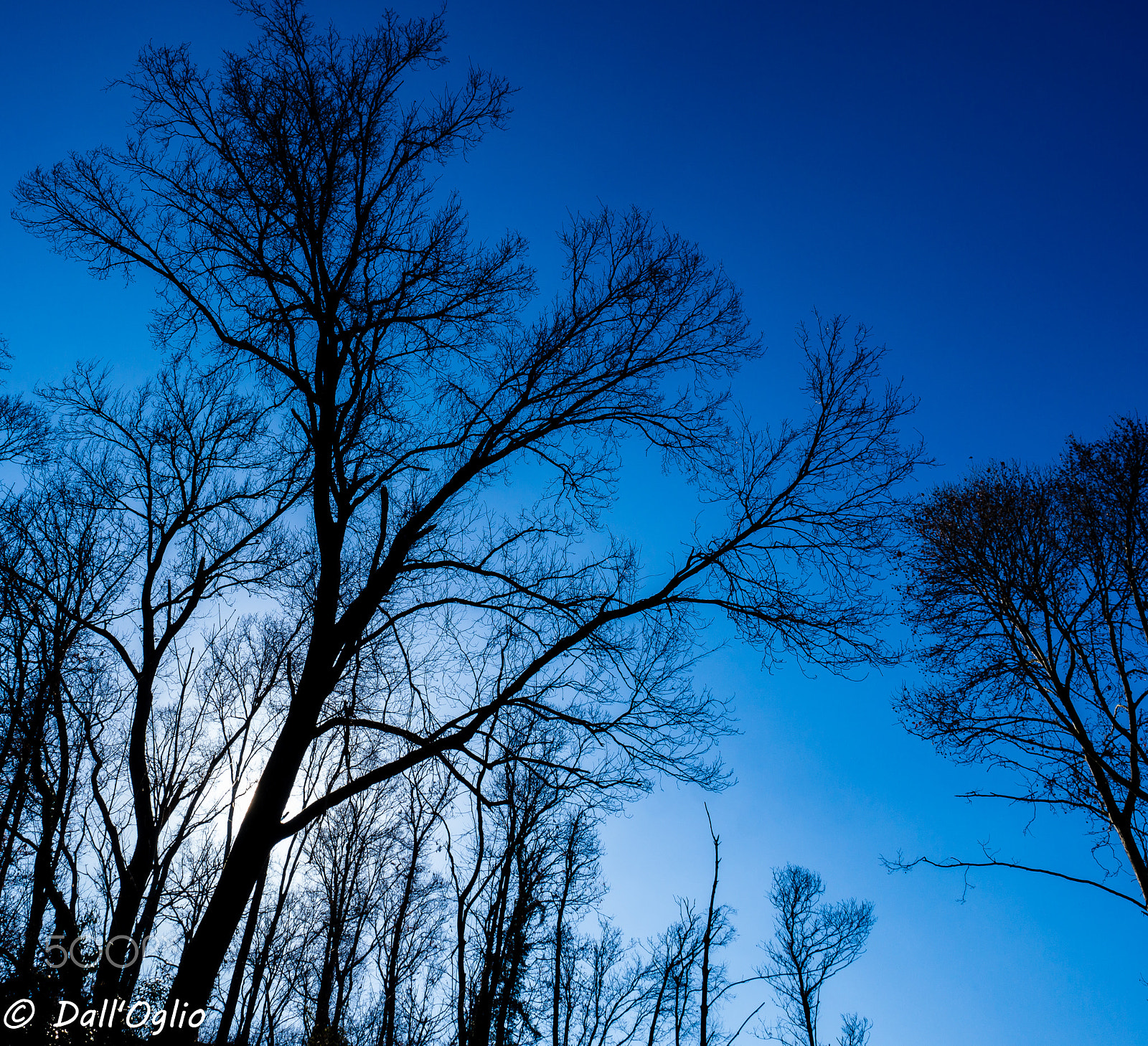 Olympus OM-D E-M10 II + Olympus M.Zuiko Digital ED 12-40mm F2.8 Pro sample photo. No clouds in the sky photography