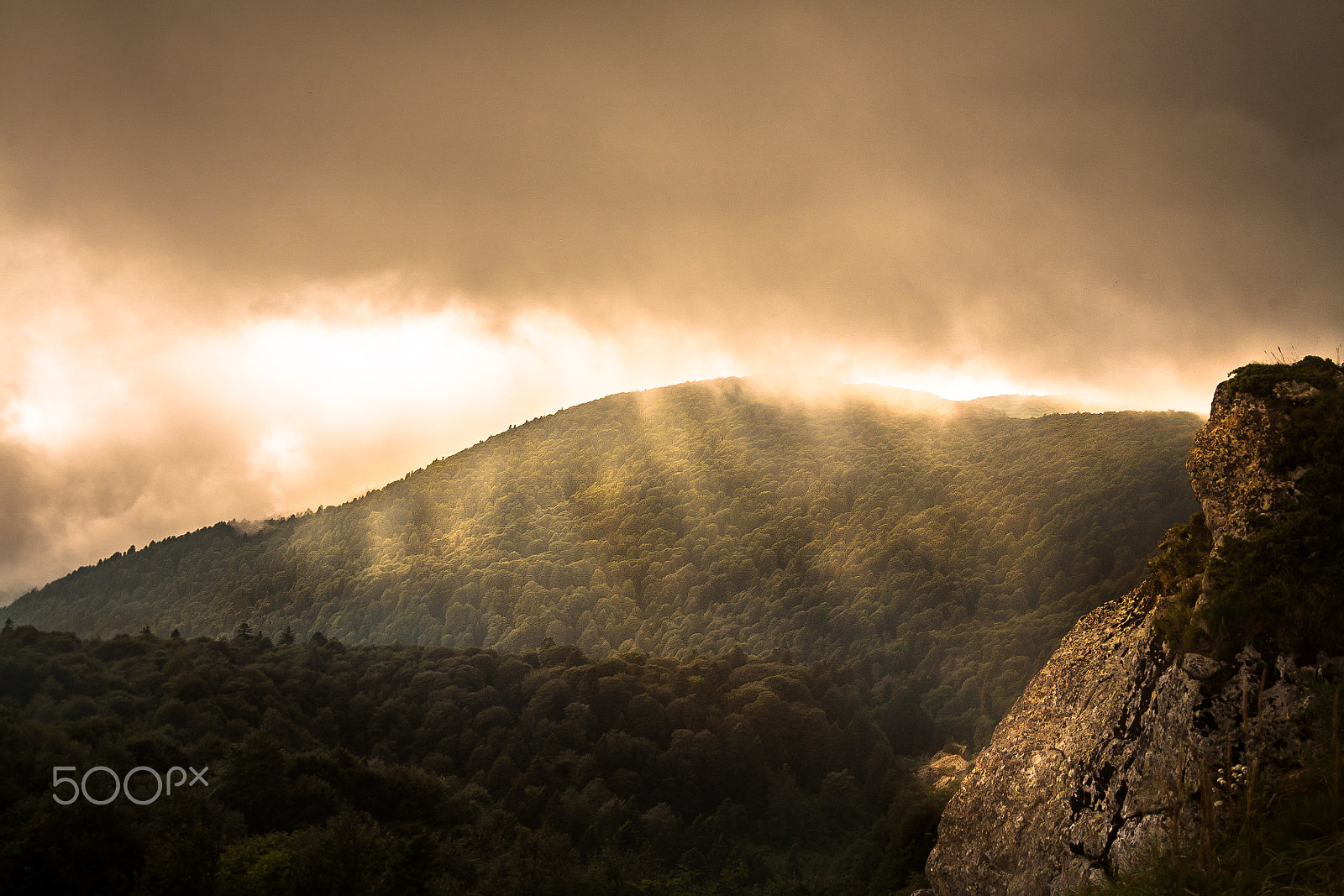 Canon EOS 5D sample photo. All the way up photography